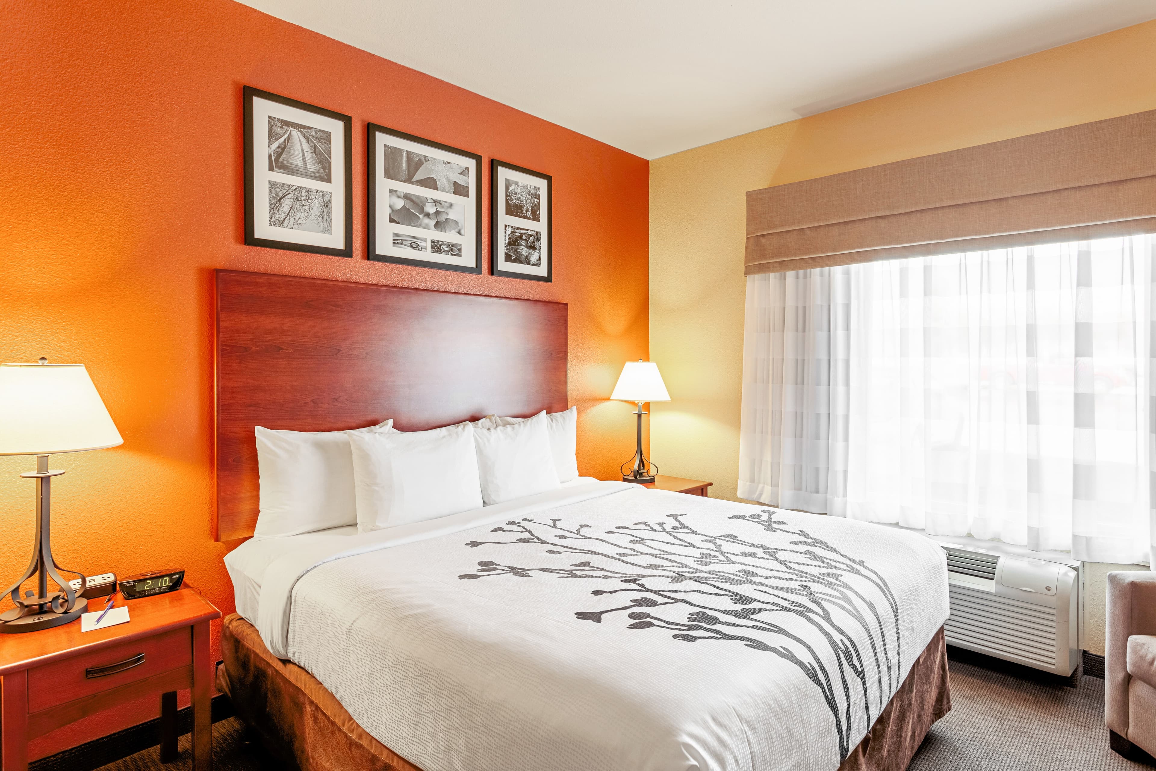 Sleep Inn & Suites Tyler South - Image 1