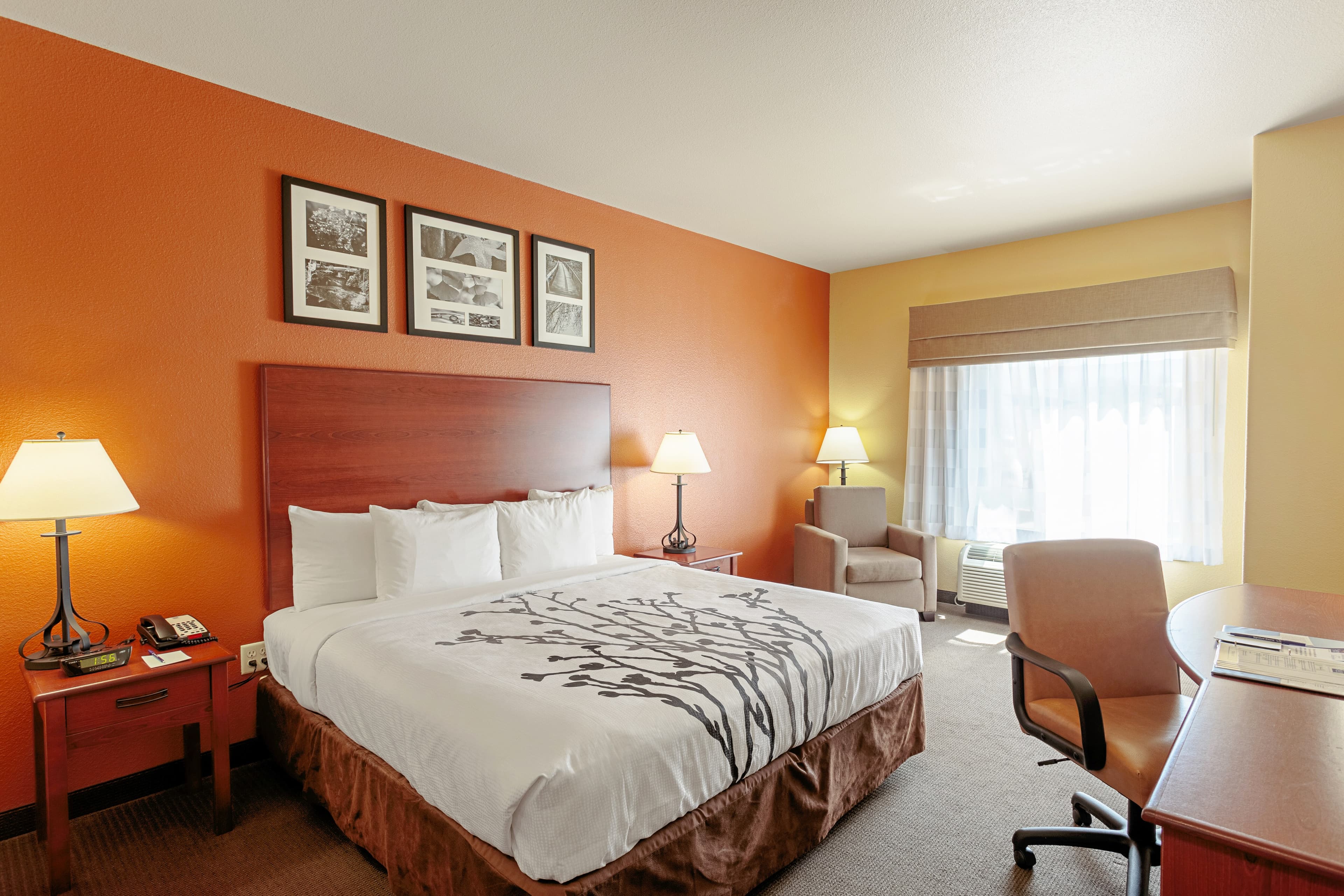 Sleep Inn & Suites Tyler South - Image 2