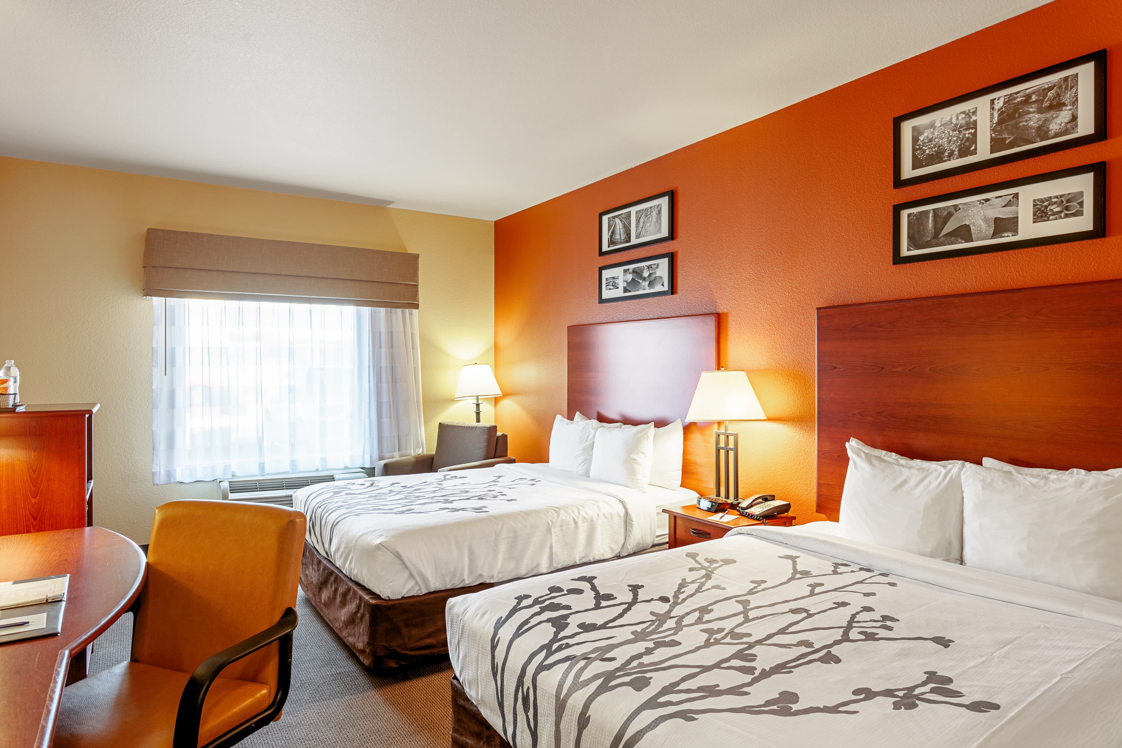 Sleep Inn & Suites Tyler South — 19