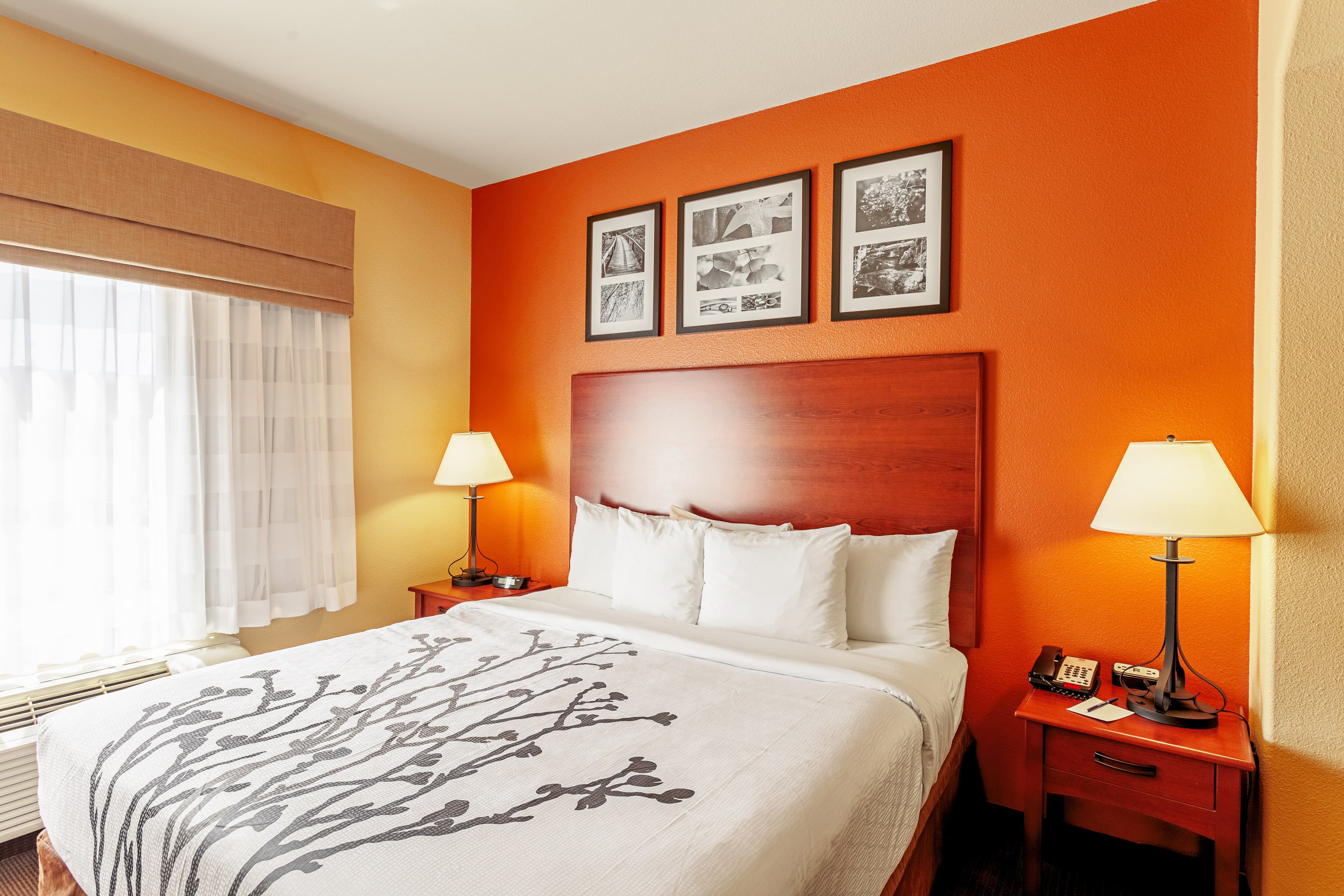 Sleep Inn & Suites Tyler South — 24
