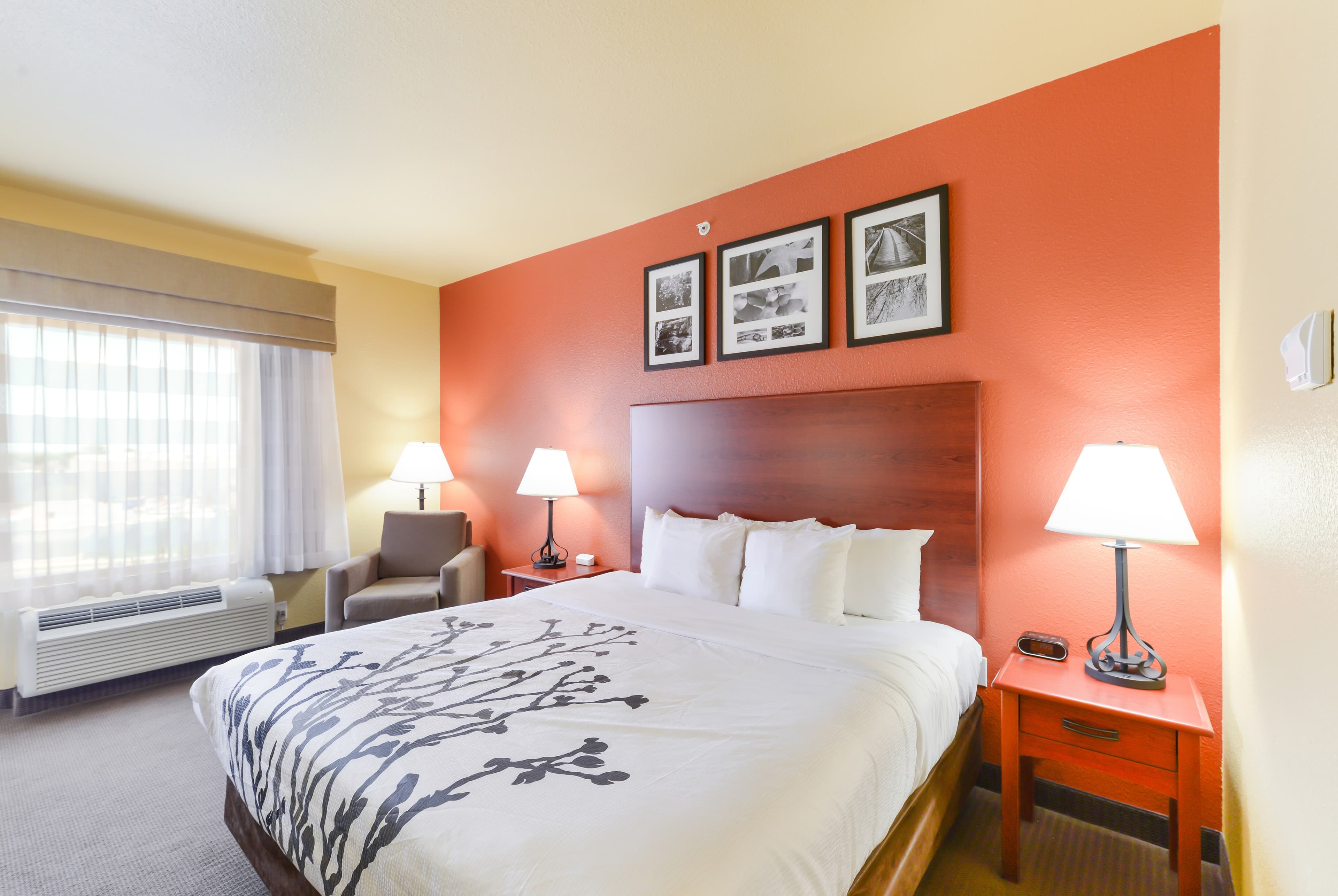 Sleep Inn & Suites Midland West — 6