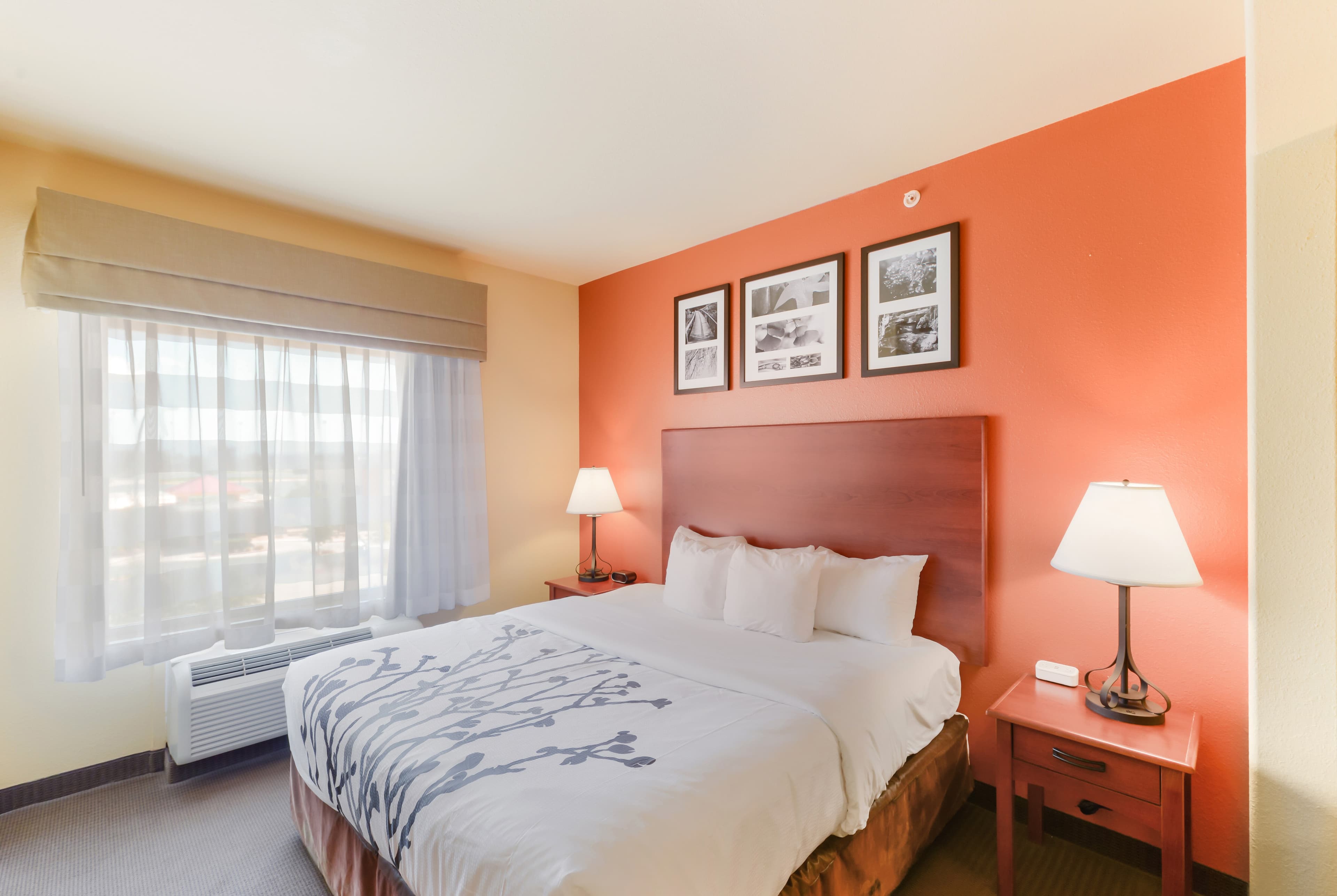 Sleep Inn & Suites Midland West — 10
