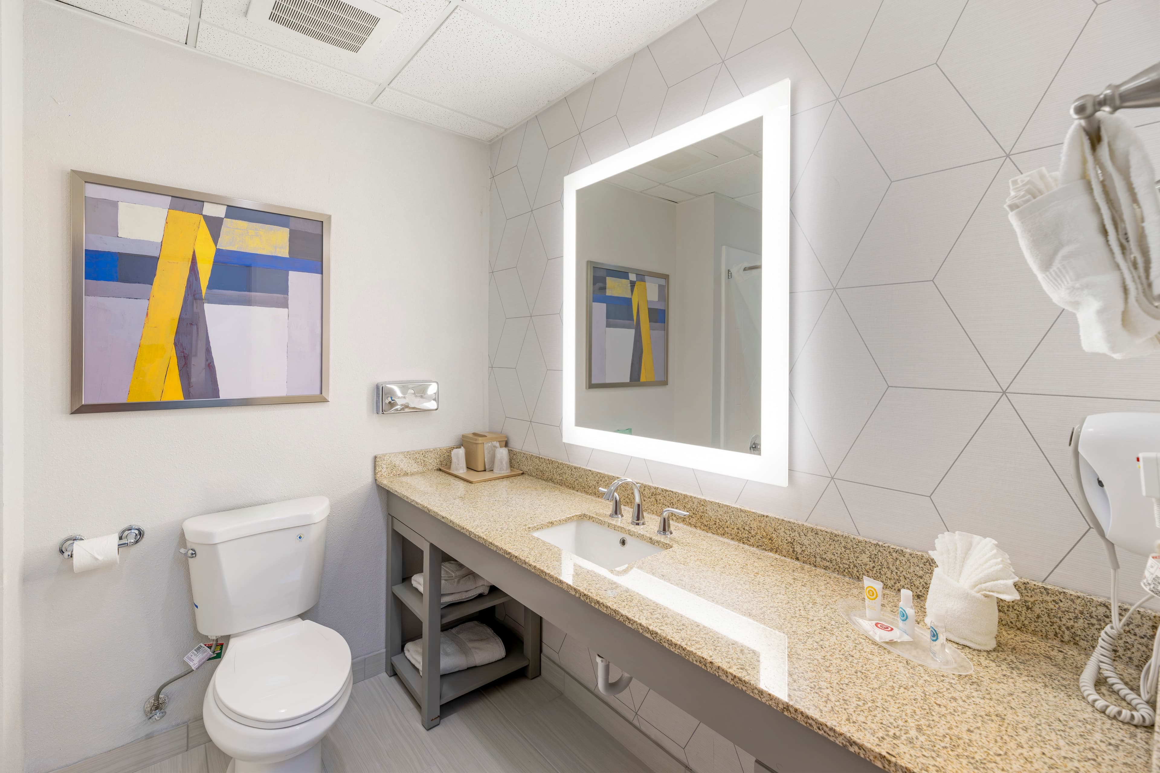 Comfort Suites Pecos — 10