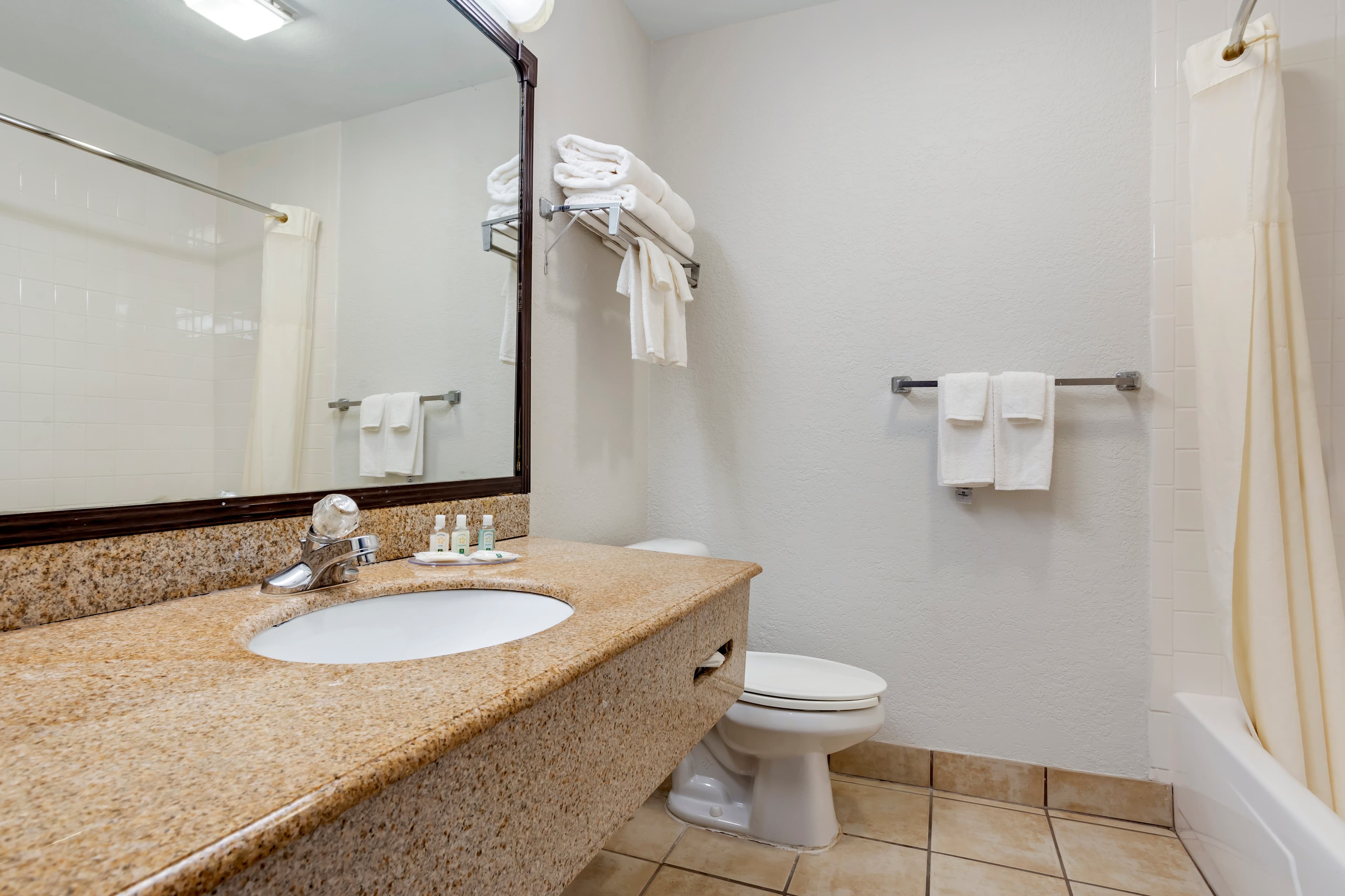 Quality Inn & Suites NRG Park - Medical Center — 19