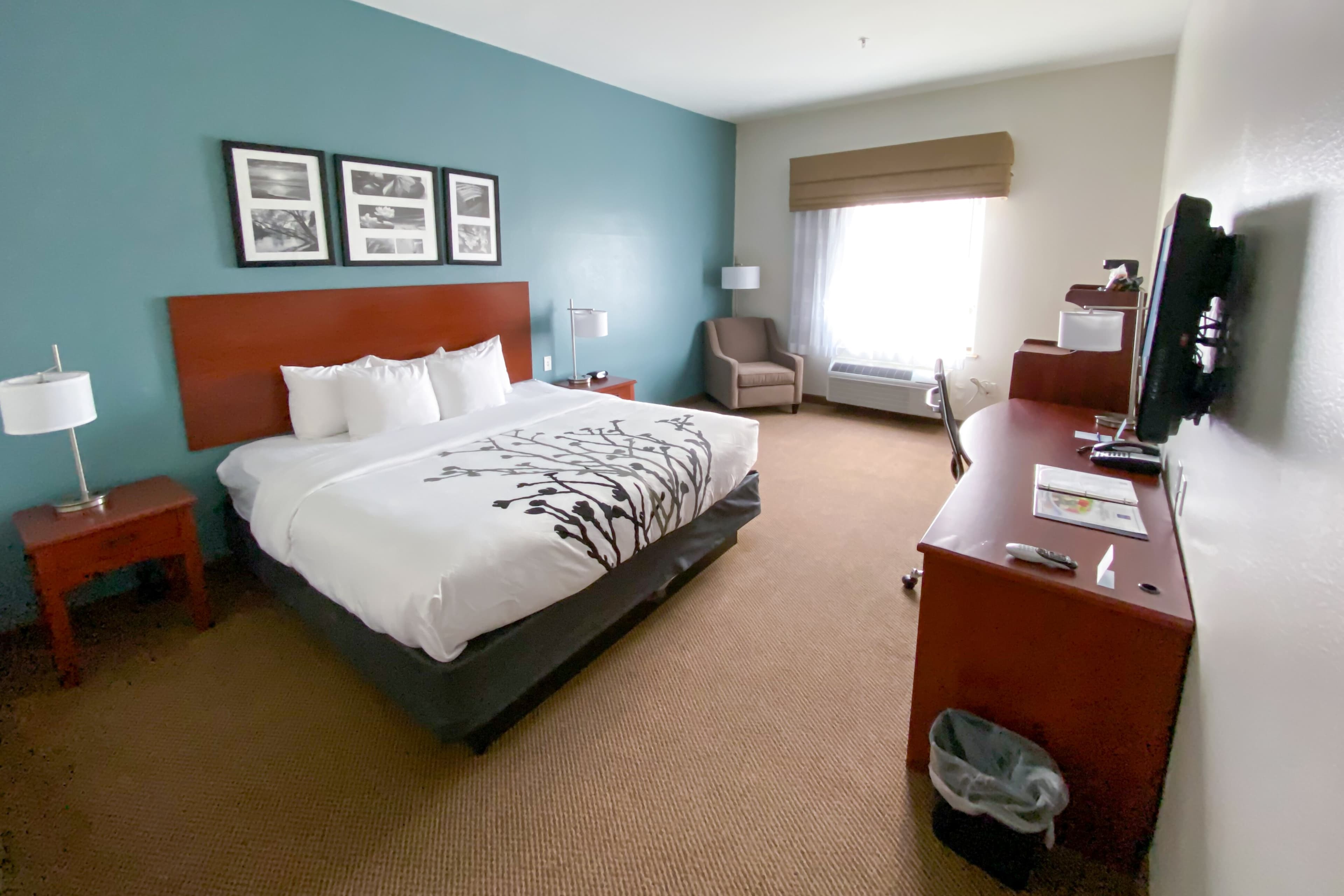 Sleep Inn & Suites Pearland - Houston South — 10