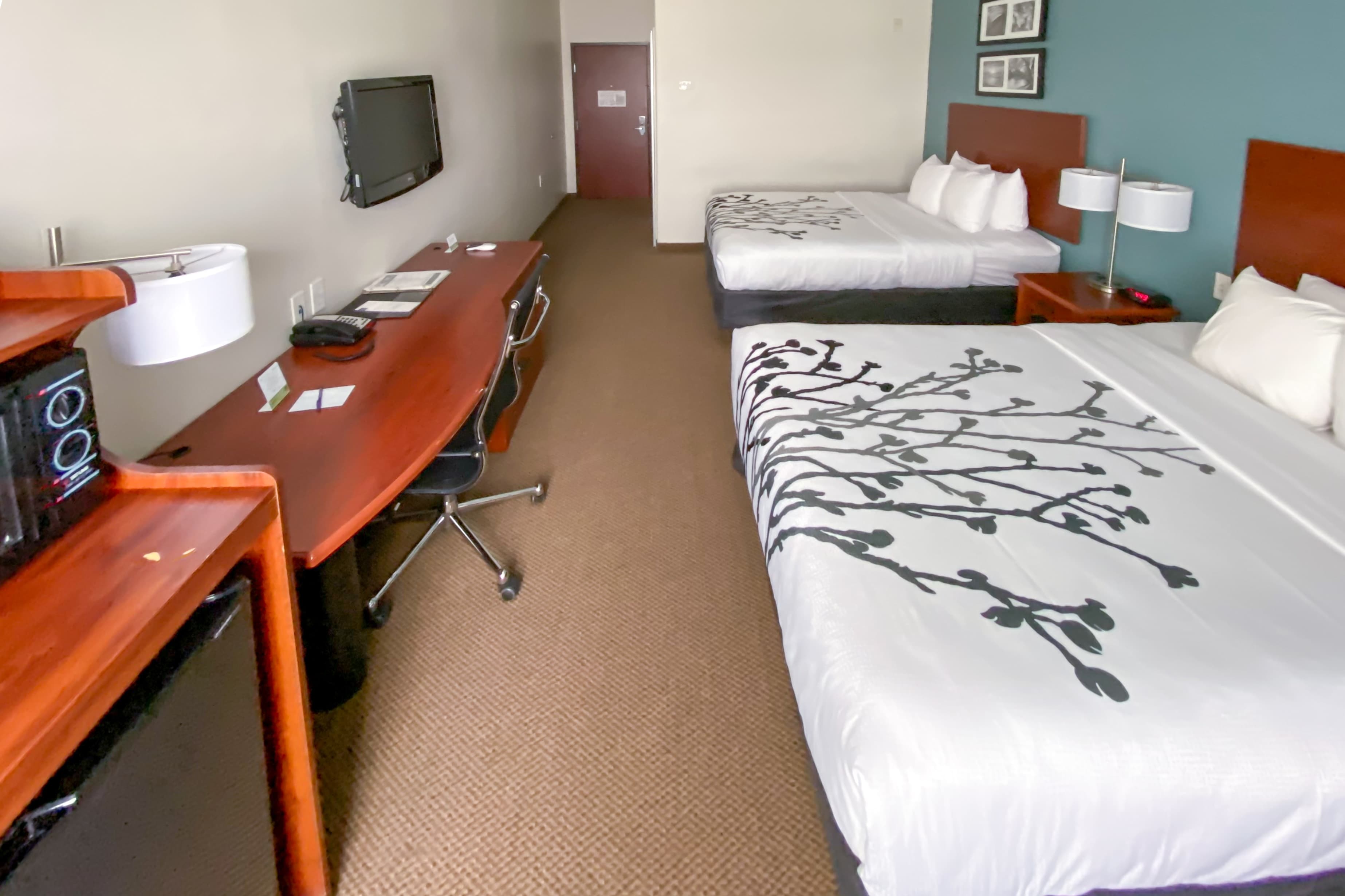 Sleep Inn & Suites Pearland - Houston South — 3