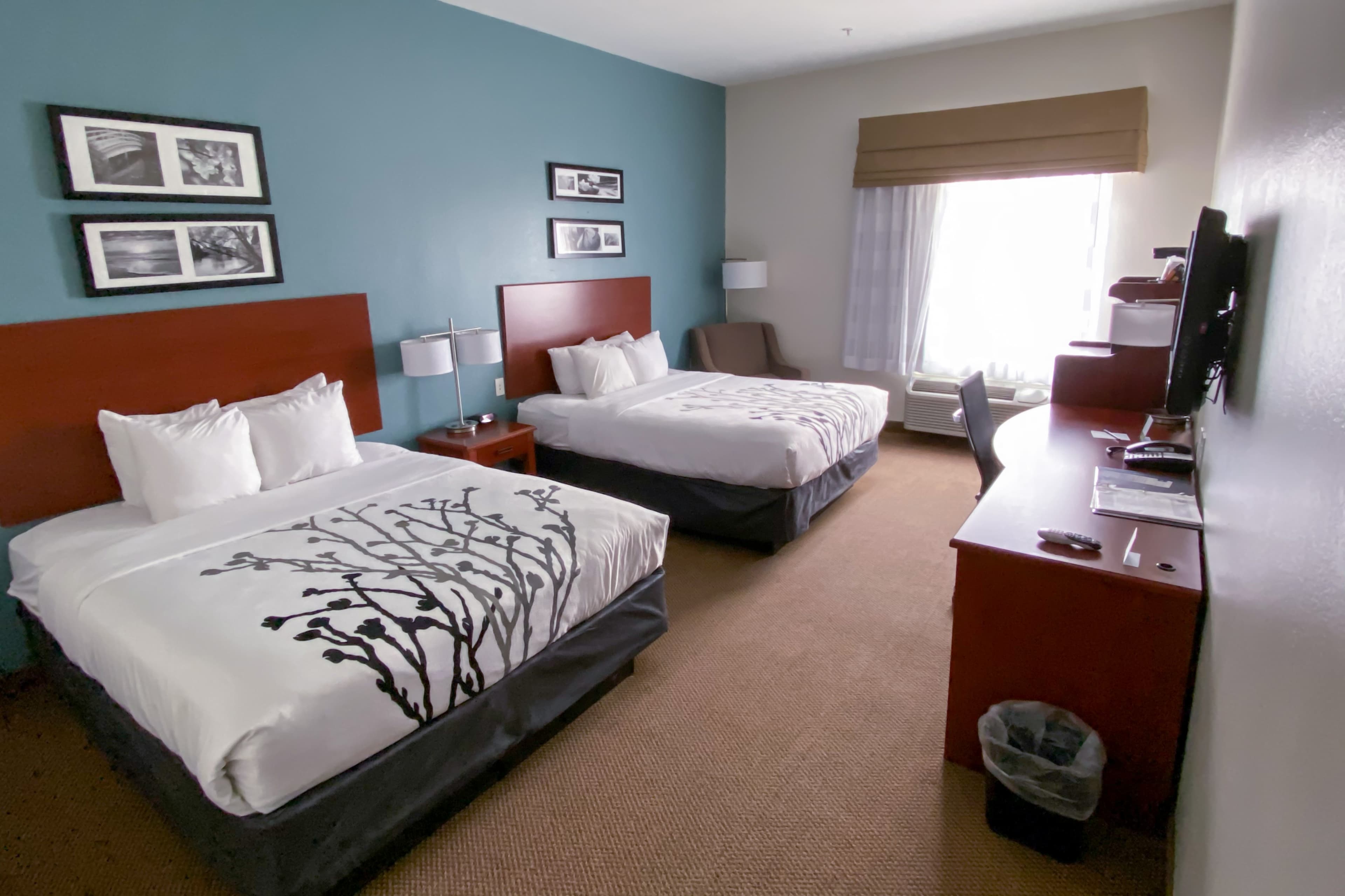 Sleep Inn & Suites Pearland - Houston South — 4