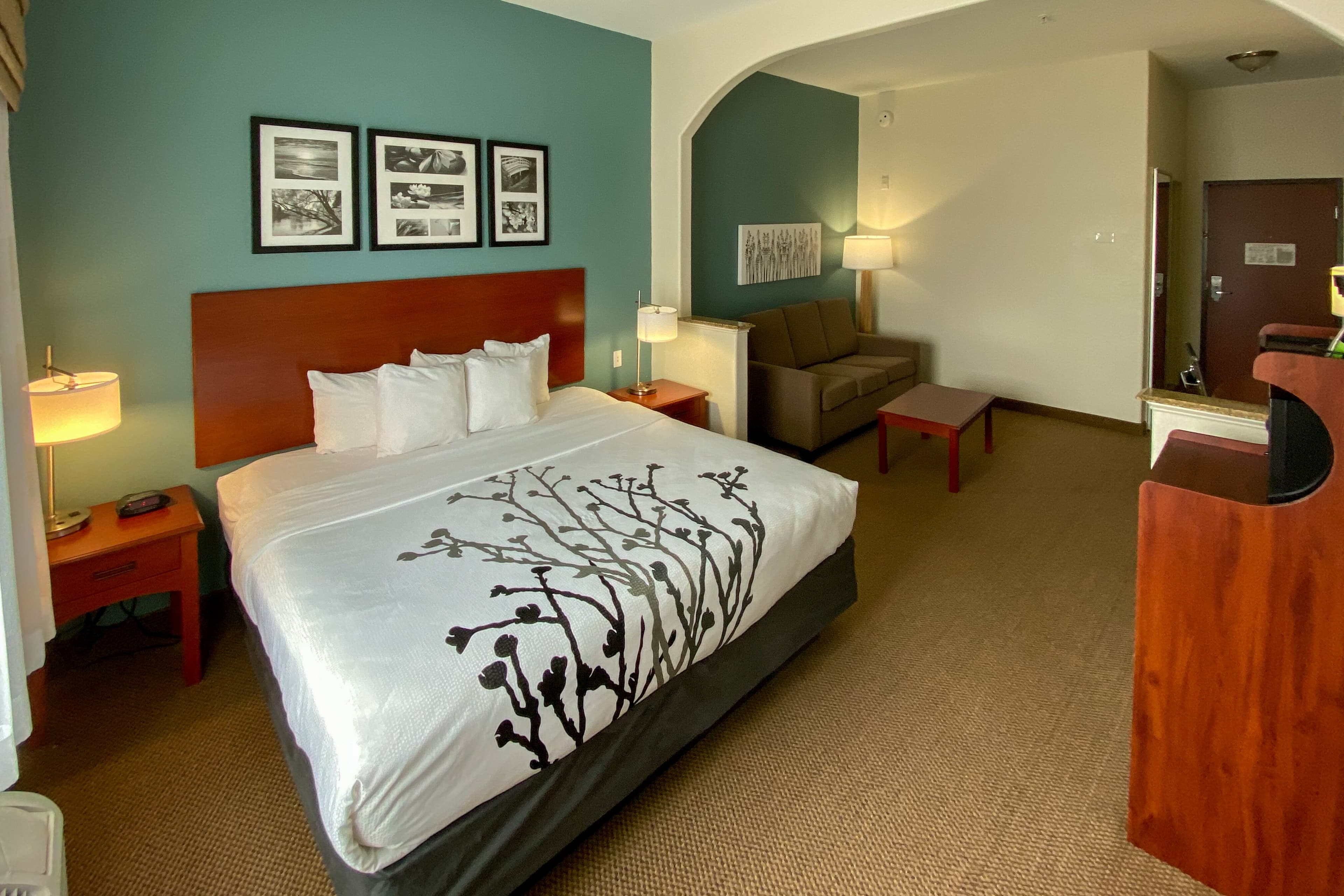 Sleep Inn & Suites Pearland - Houston South — 7