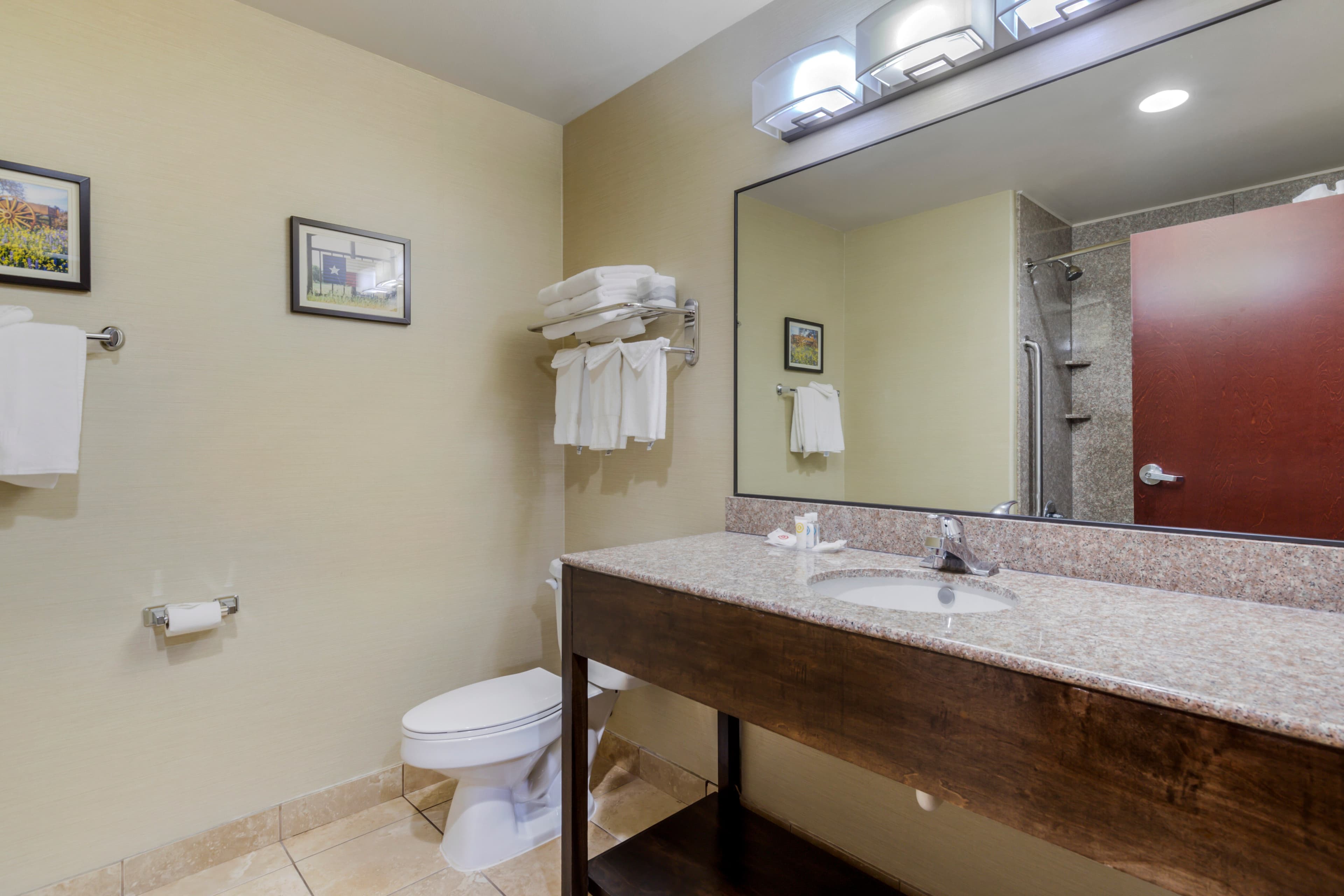 Comfort Suites Pflugerville - Austin North — 15