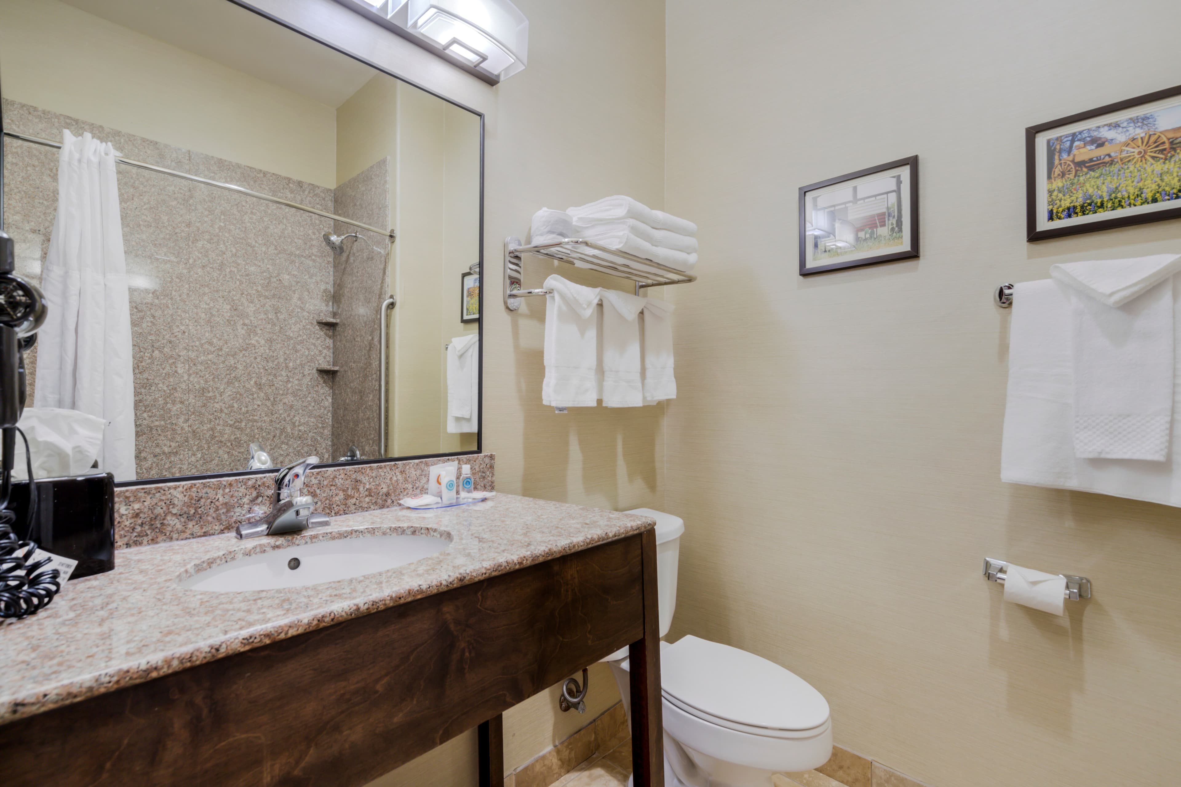 Comfort Suites Pflugerville - Austin North — 19