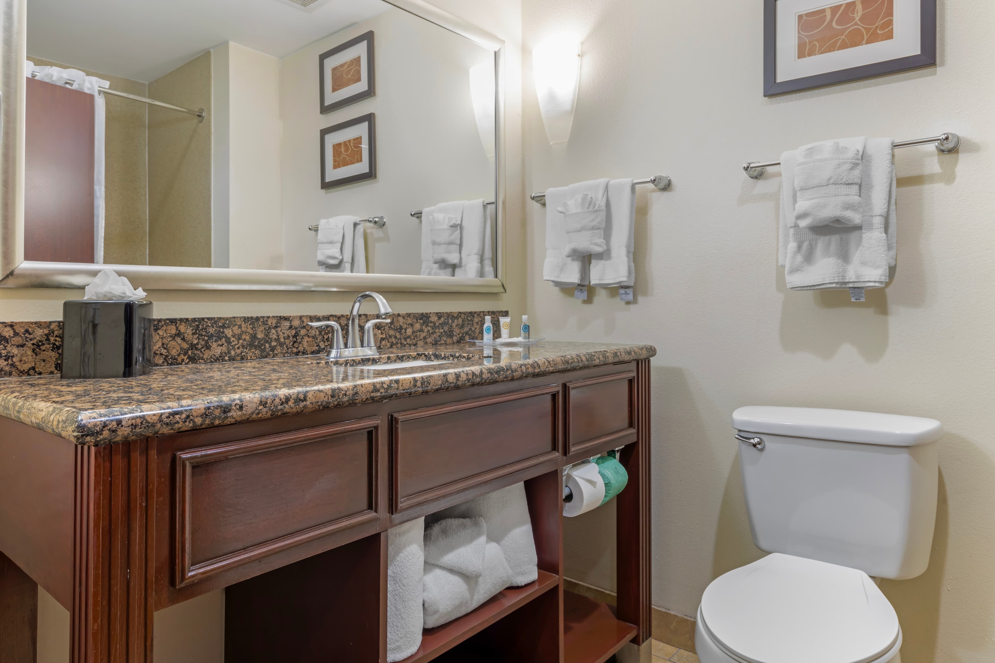 Comfort Suites West Dallas - Cockrell Hill — 8