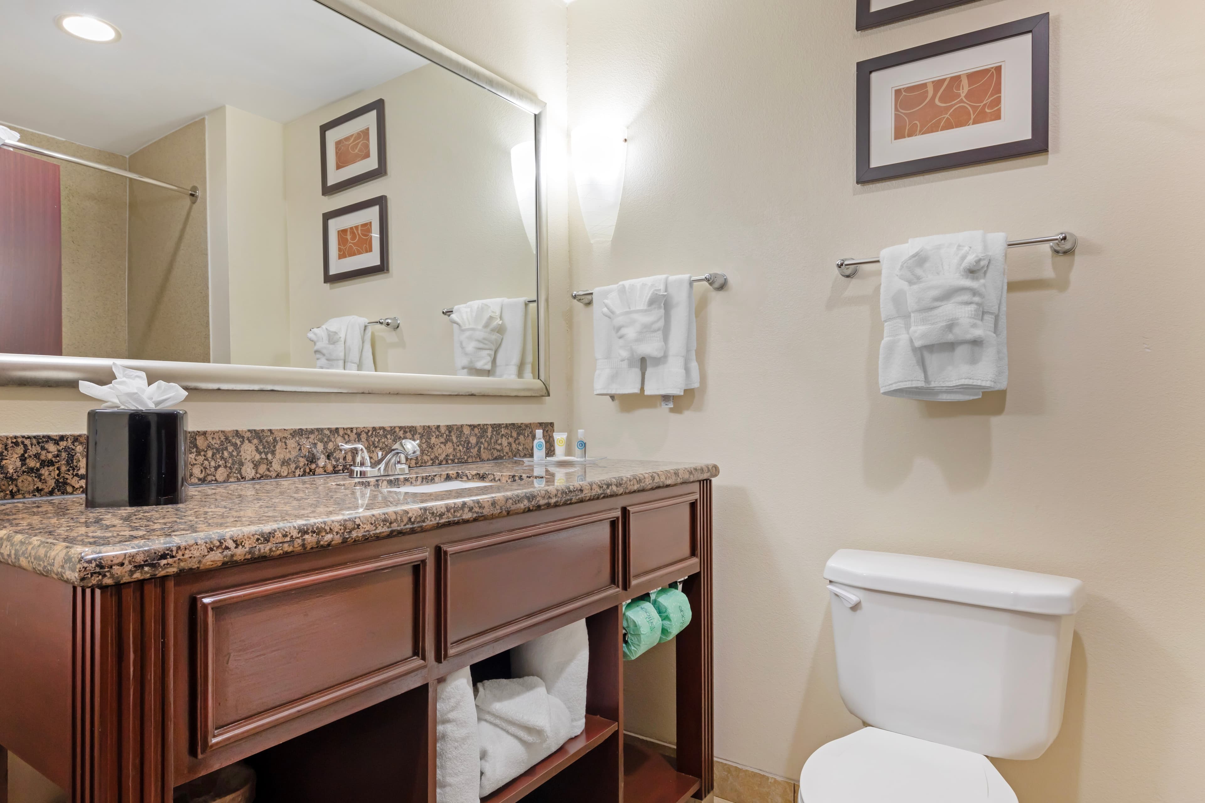 Comfort Suites West Dallas - Cockrell Hill — 14