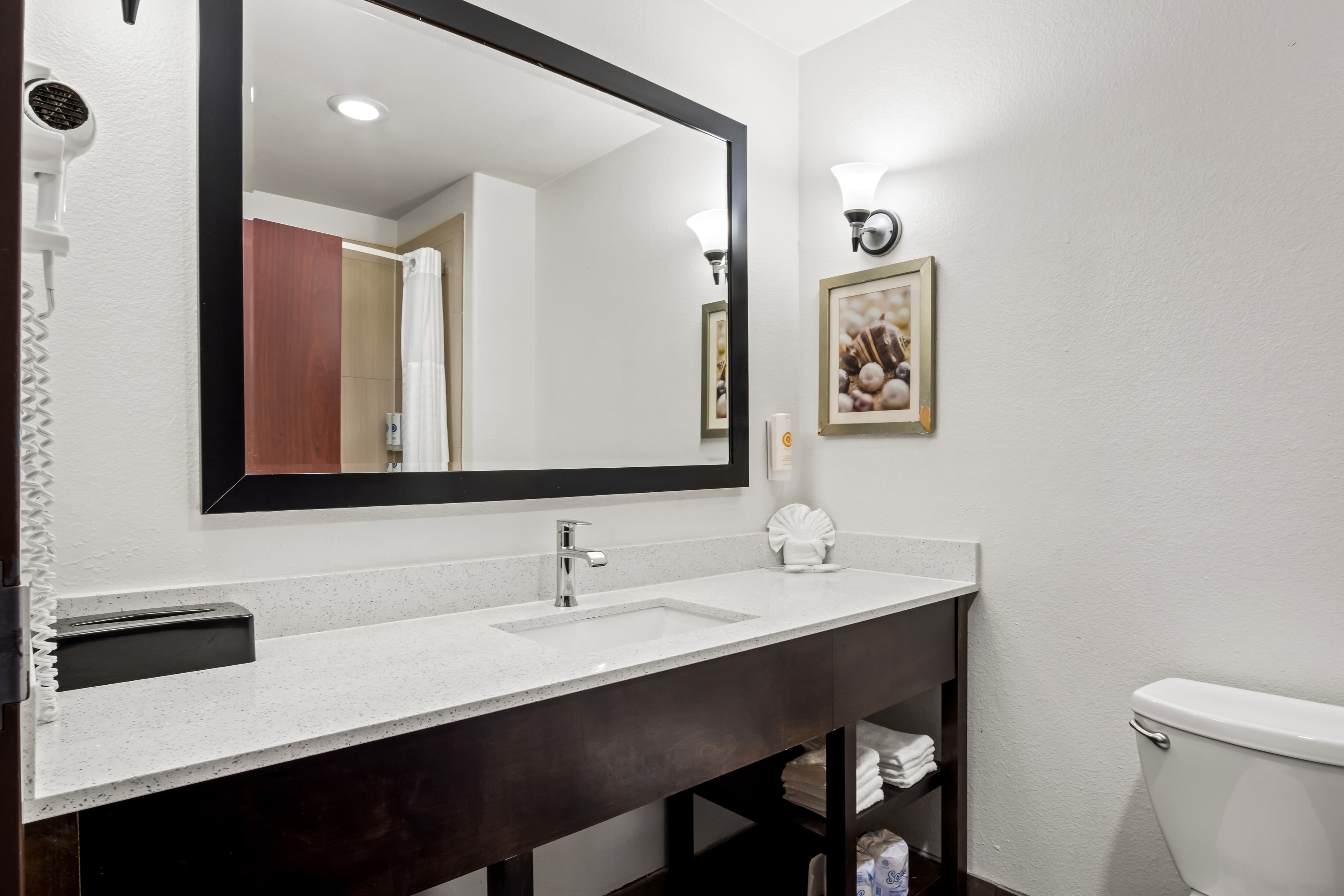 Comfort Suites Waxahachie - Dallas — 17