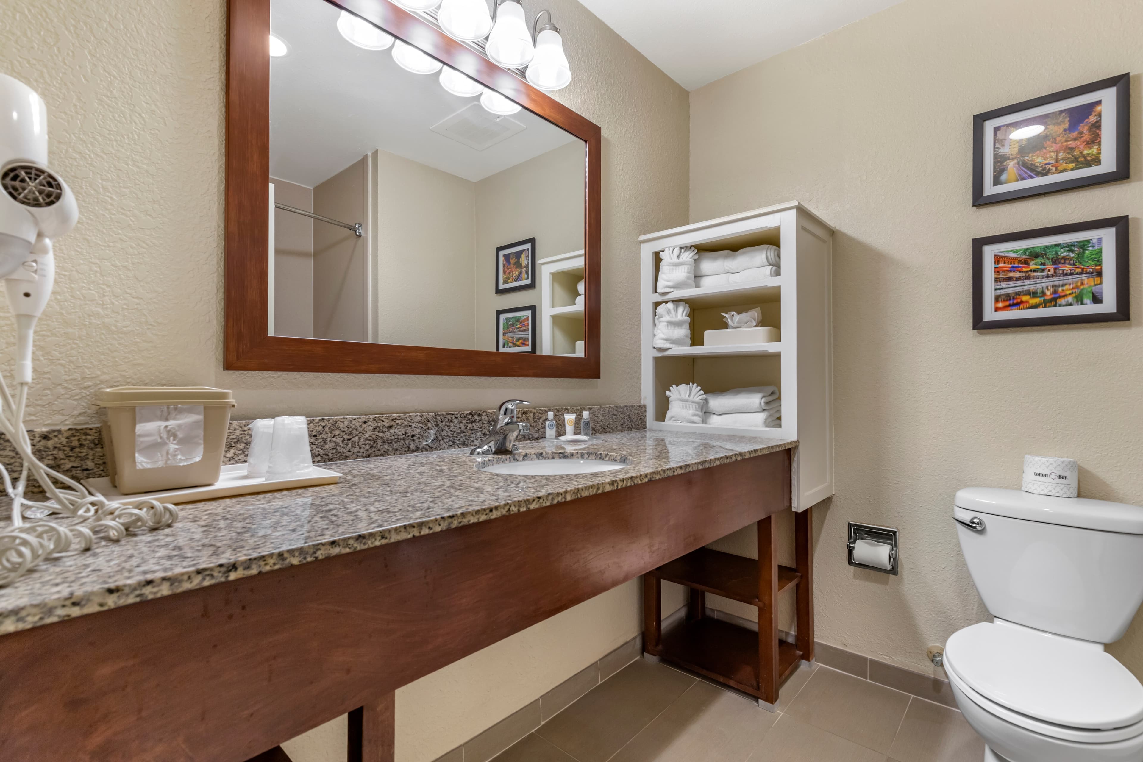 Comfort Suites Medical Center near Six Flags — 7