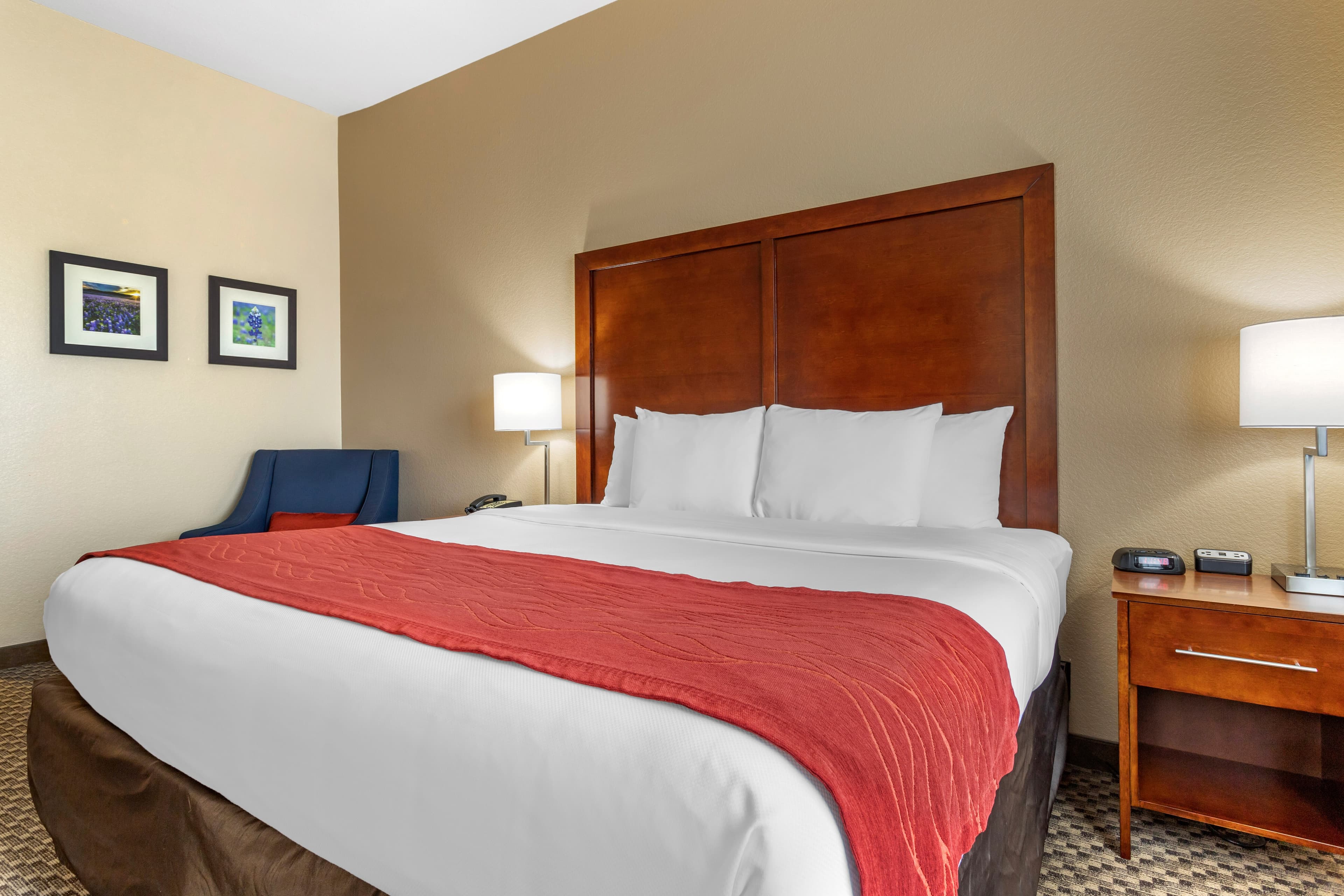 Comfort Inn & Suites Navasota — 8
