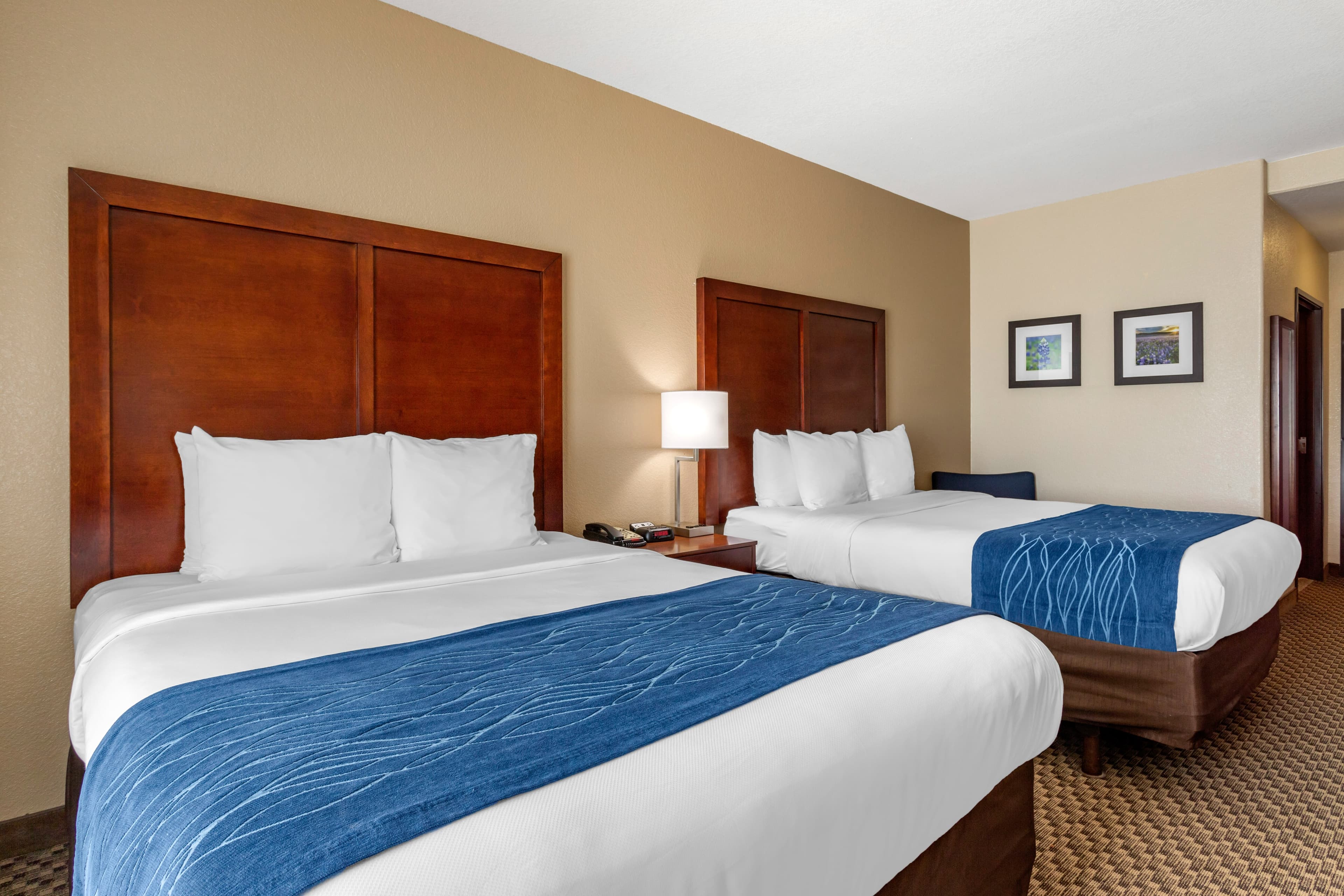 Comfort Inn & Suites Navasota — 12