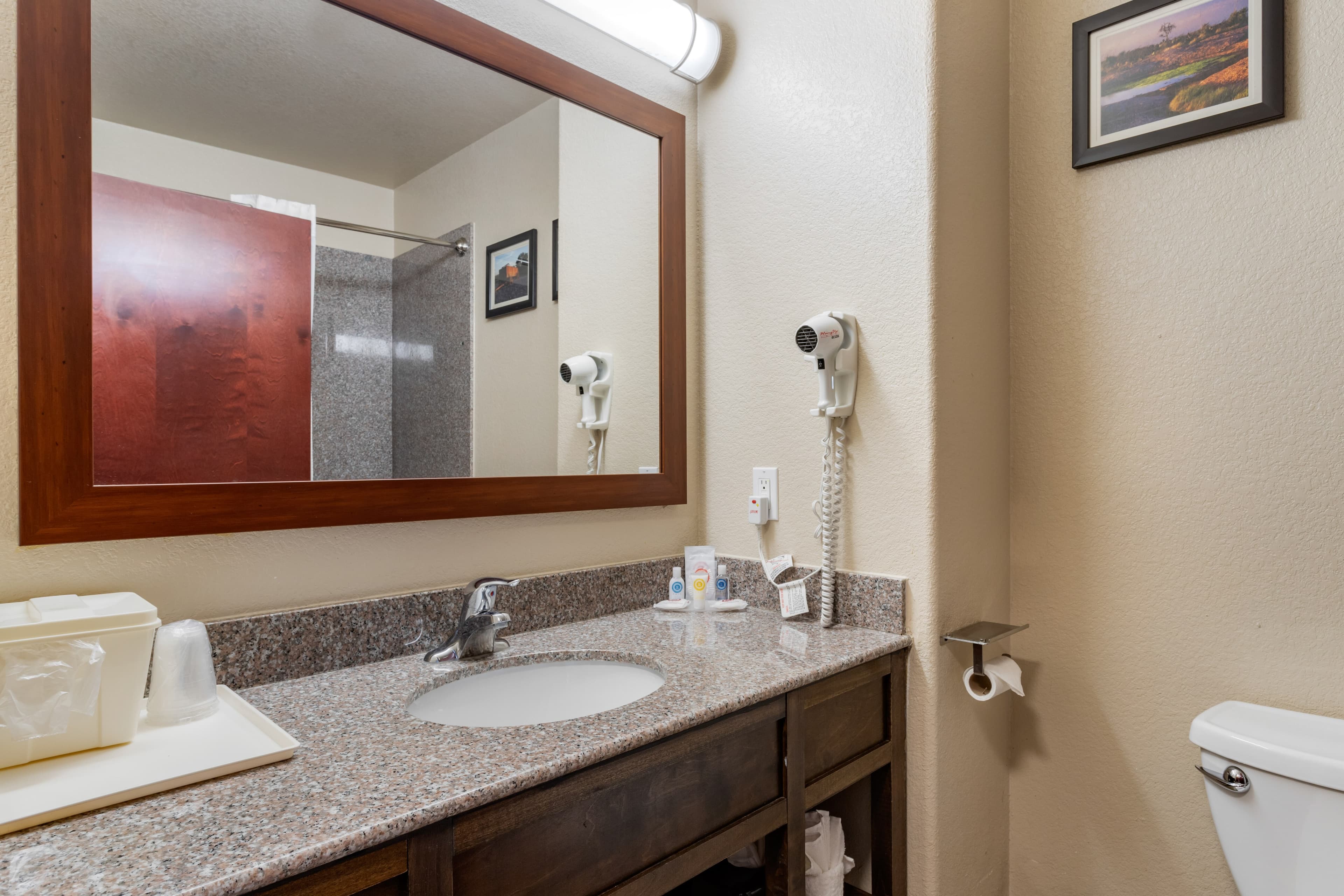 Comfort Inn & Suites Navasota — 17