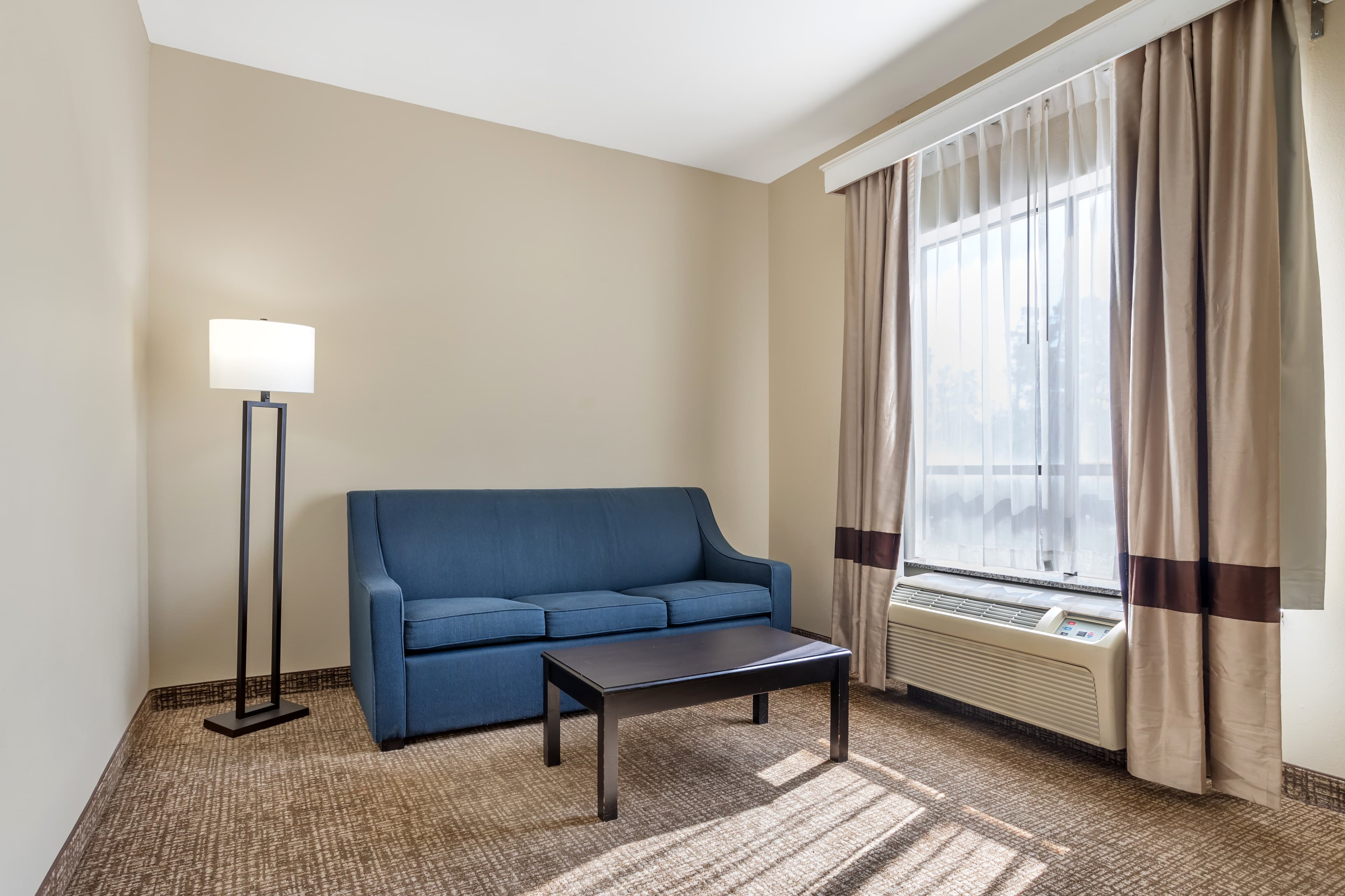 Comfort Suites Old Town Spring - Image 4