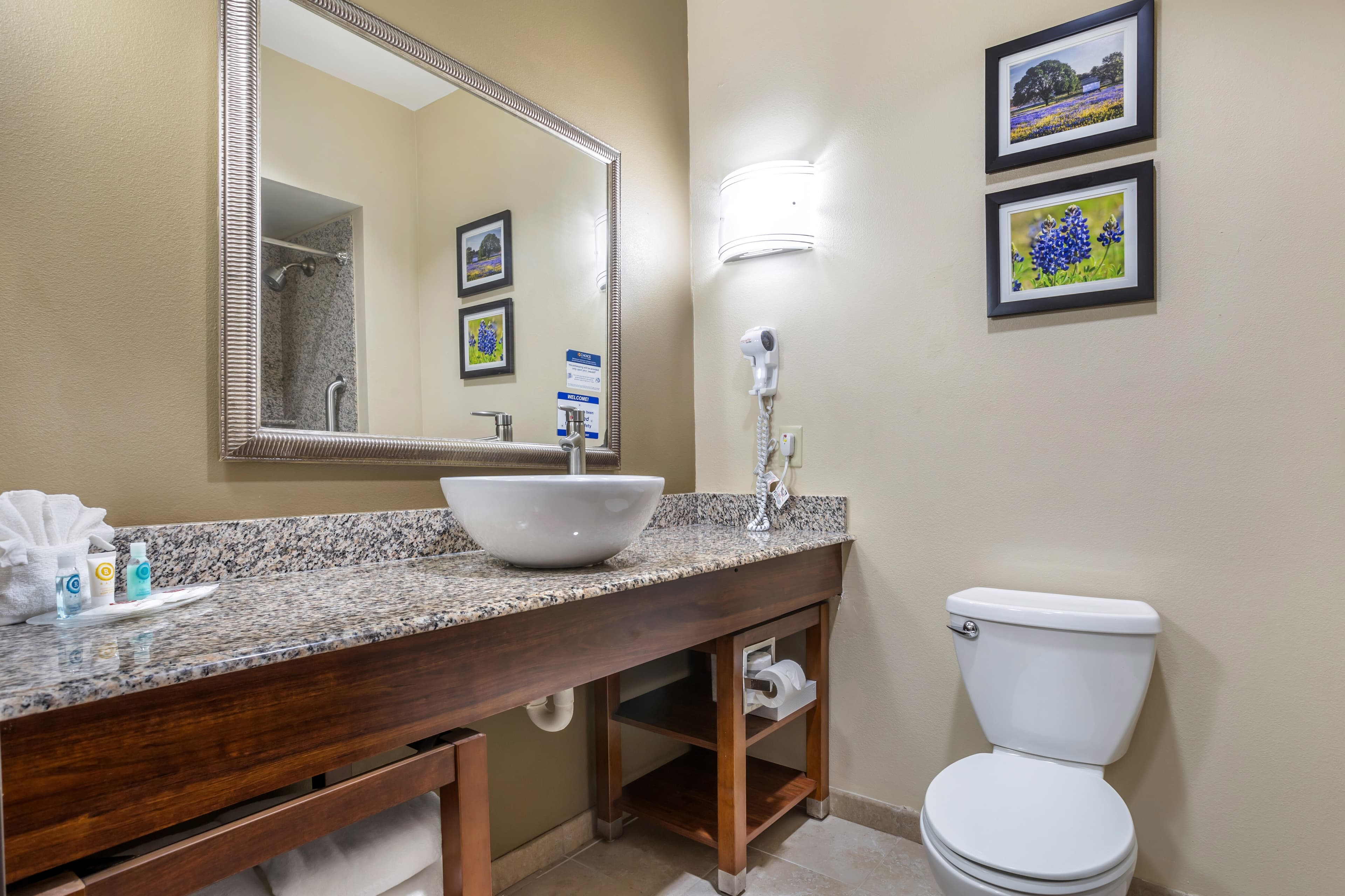 Comfort Suites Old Town Spring — 29