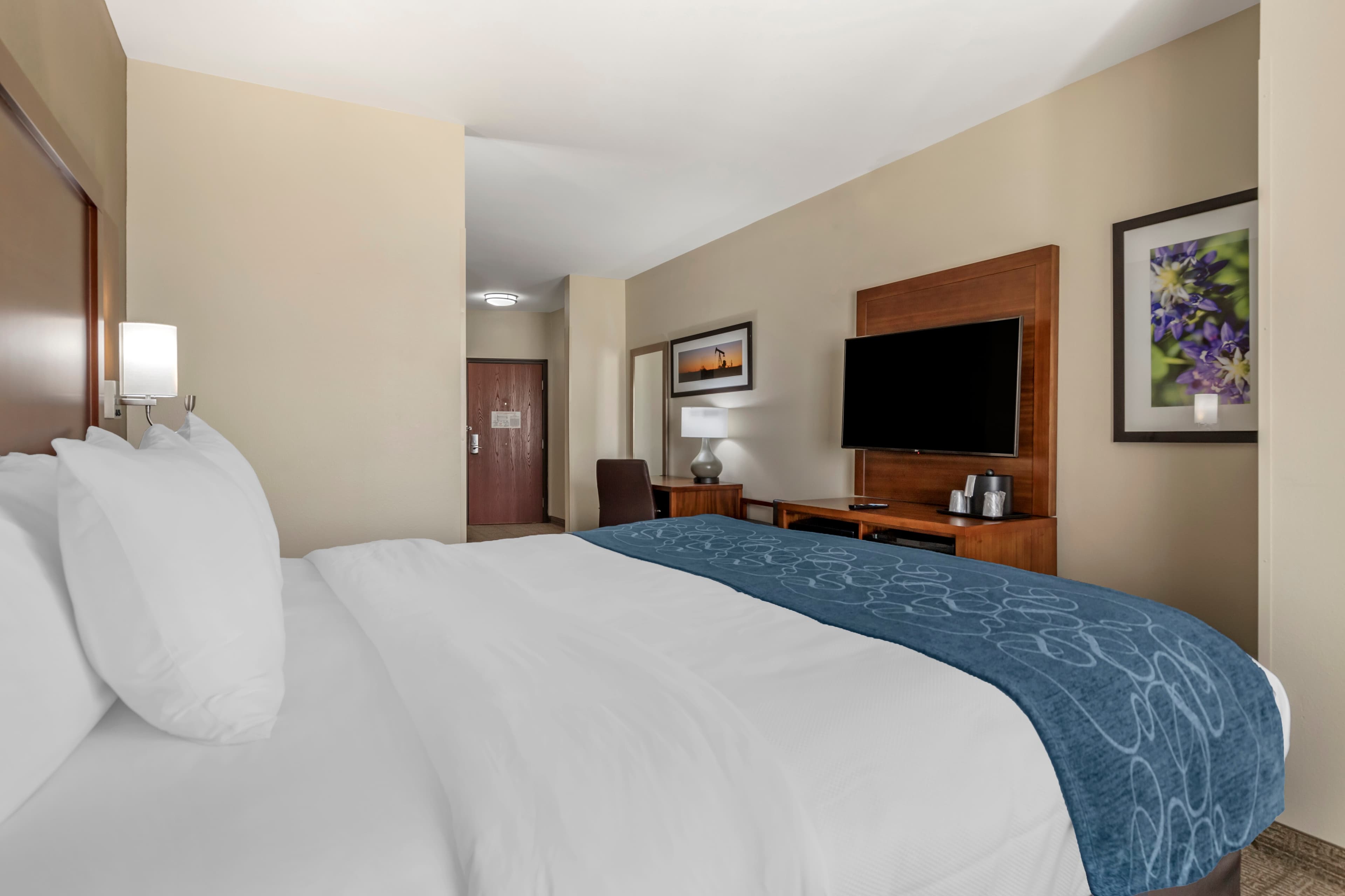 Comfort Suites Buda - Austin South - Image 2