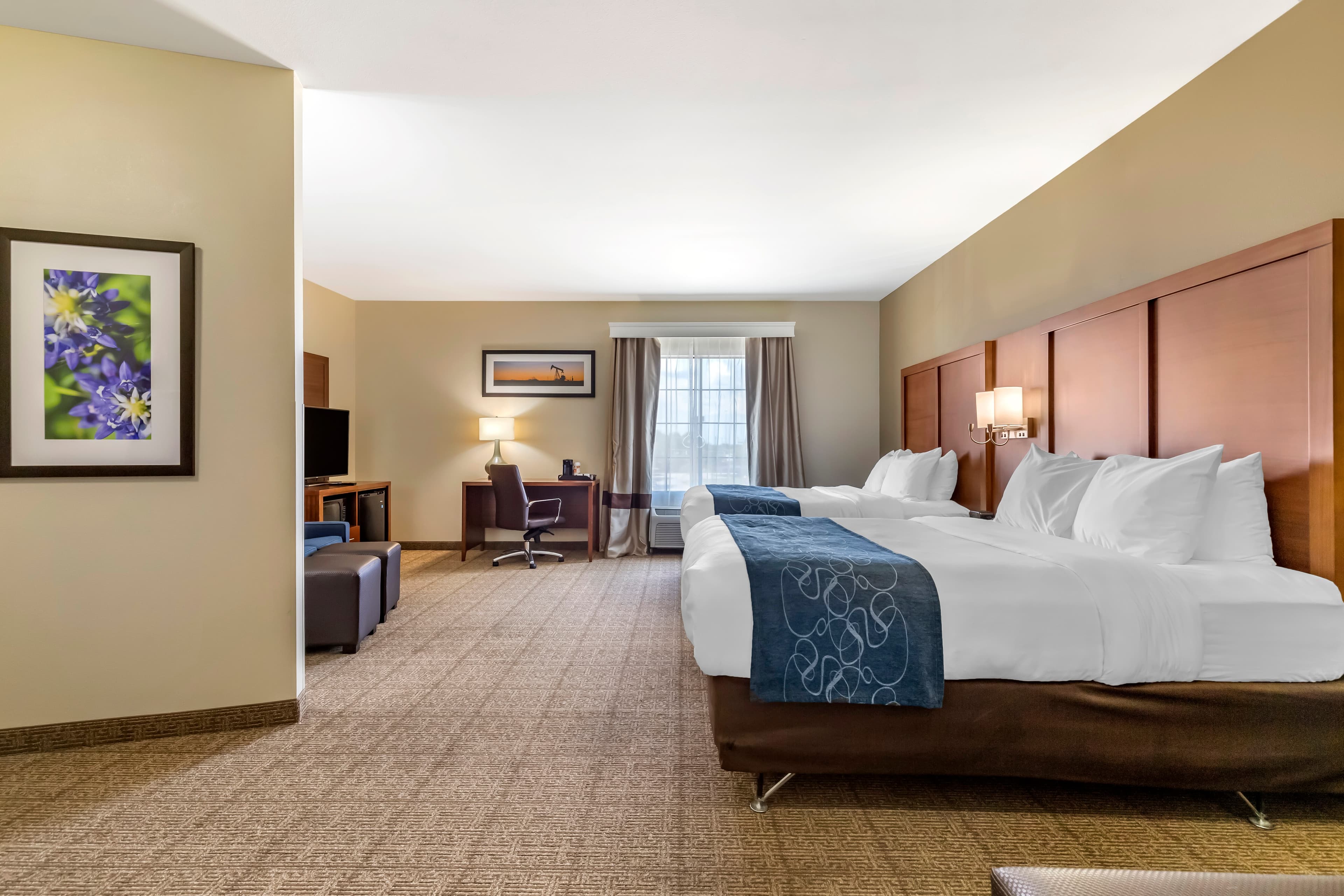 Comfort Suites Buda - Austin South — 6