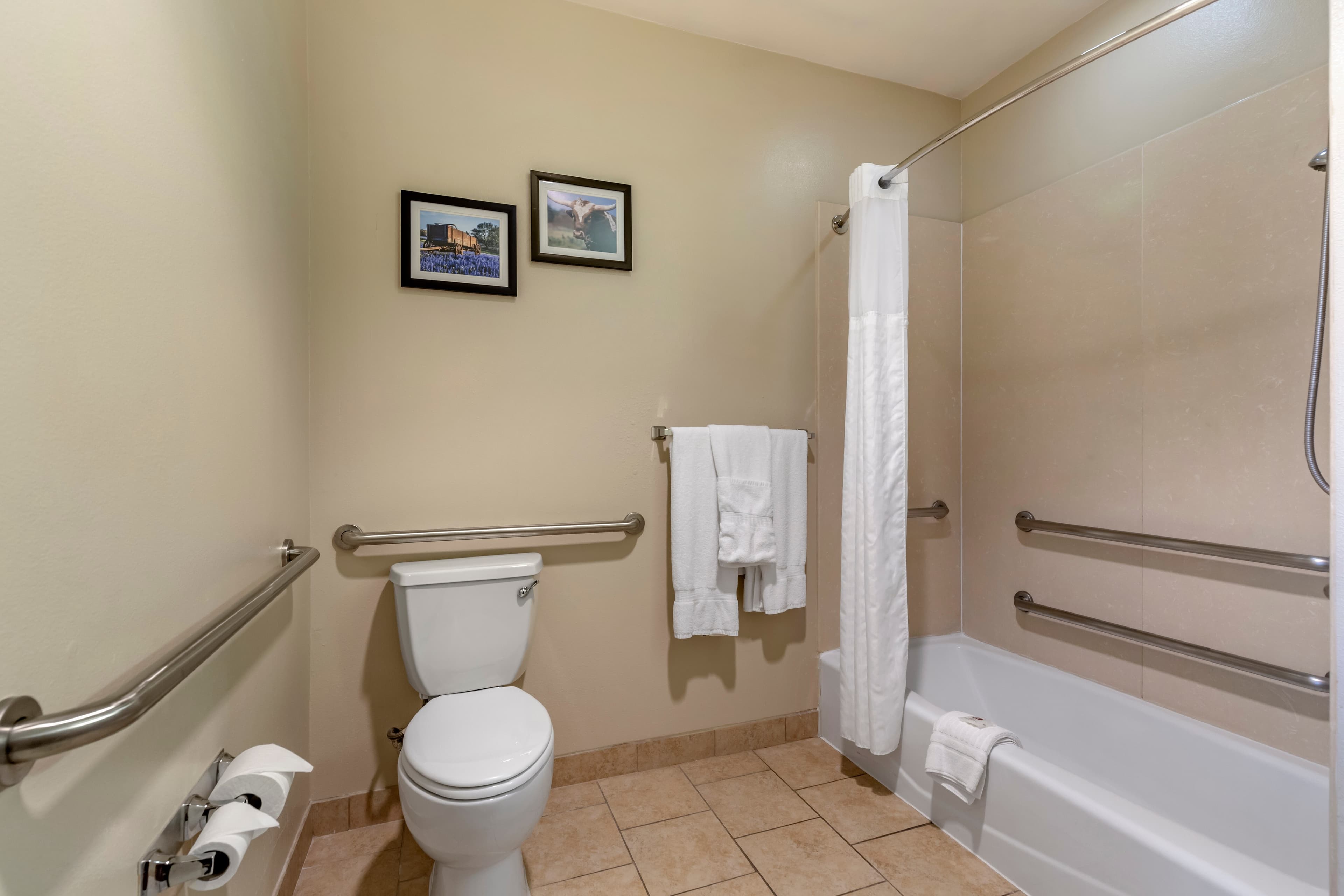 Comfort Suites Buda - Austin South — 12