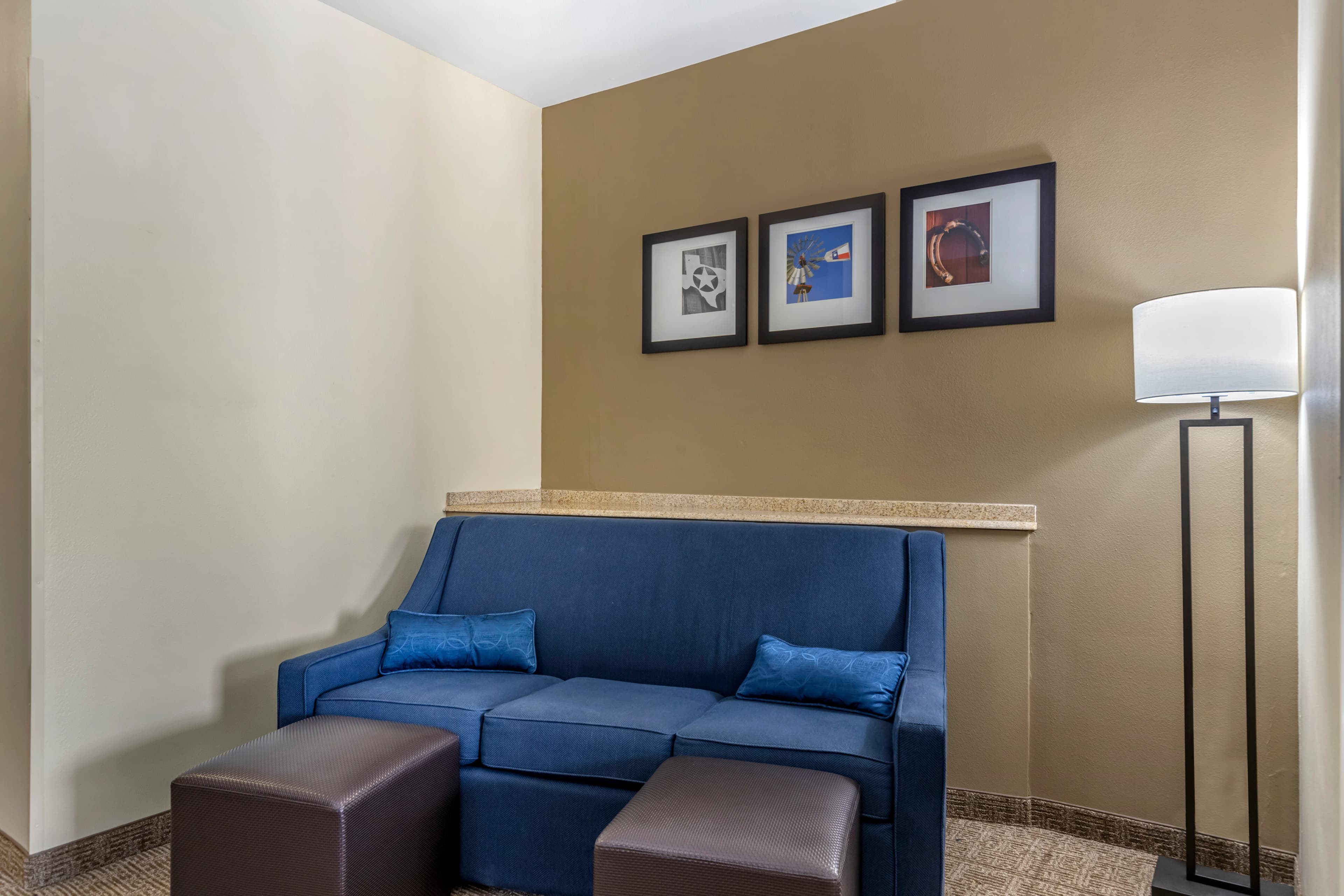 Comfort Suites Buda - Austin South — 13