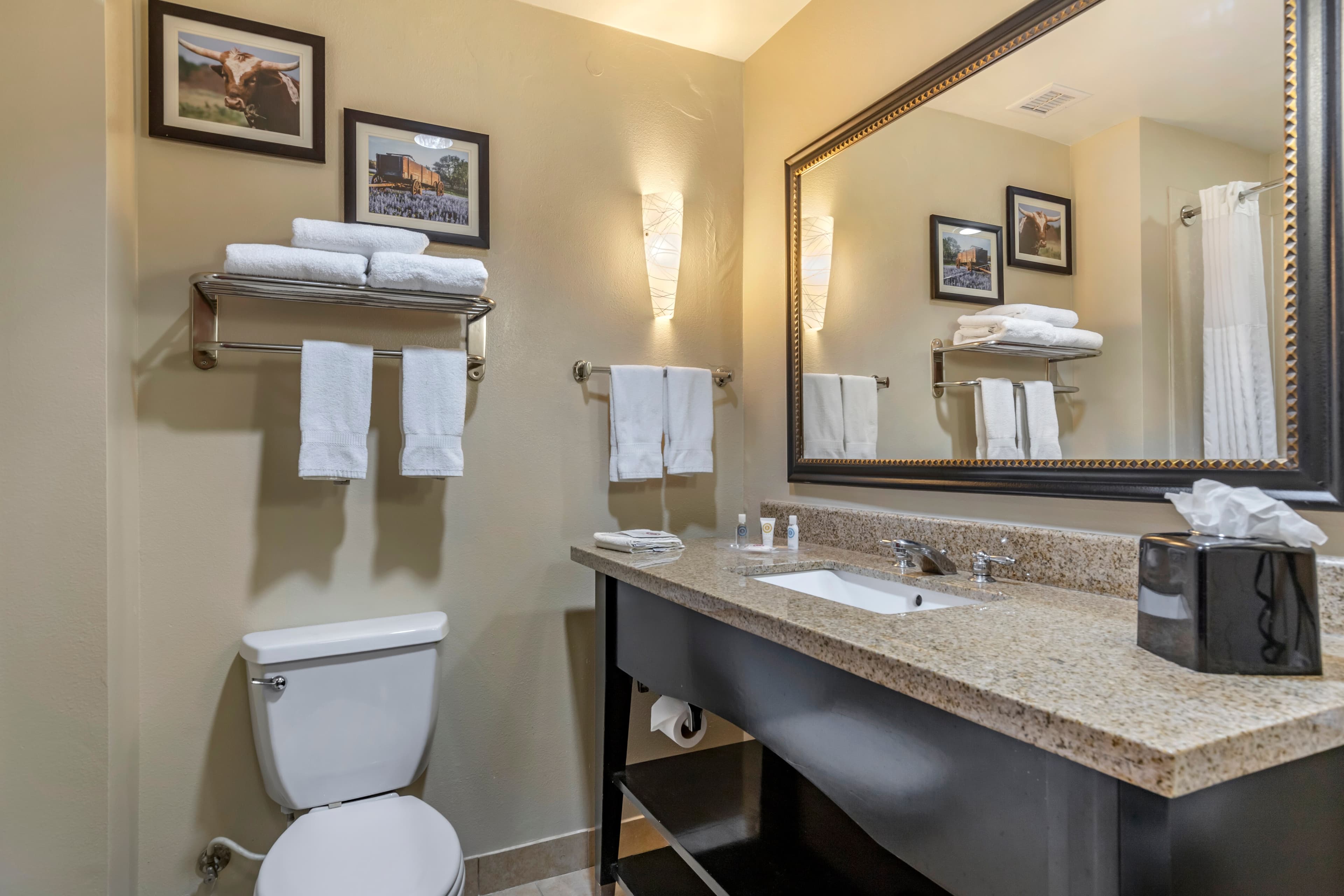 Comfort Suites Buda - Austin South — 16