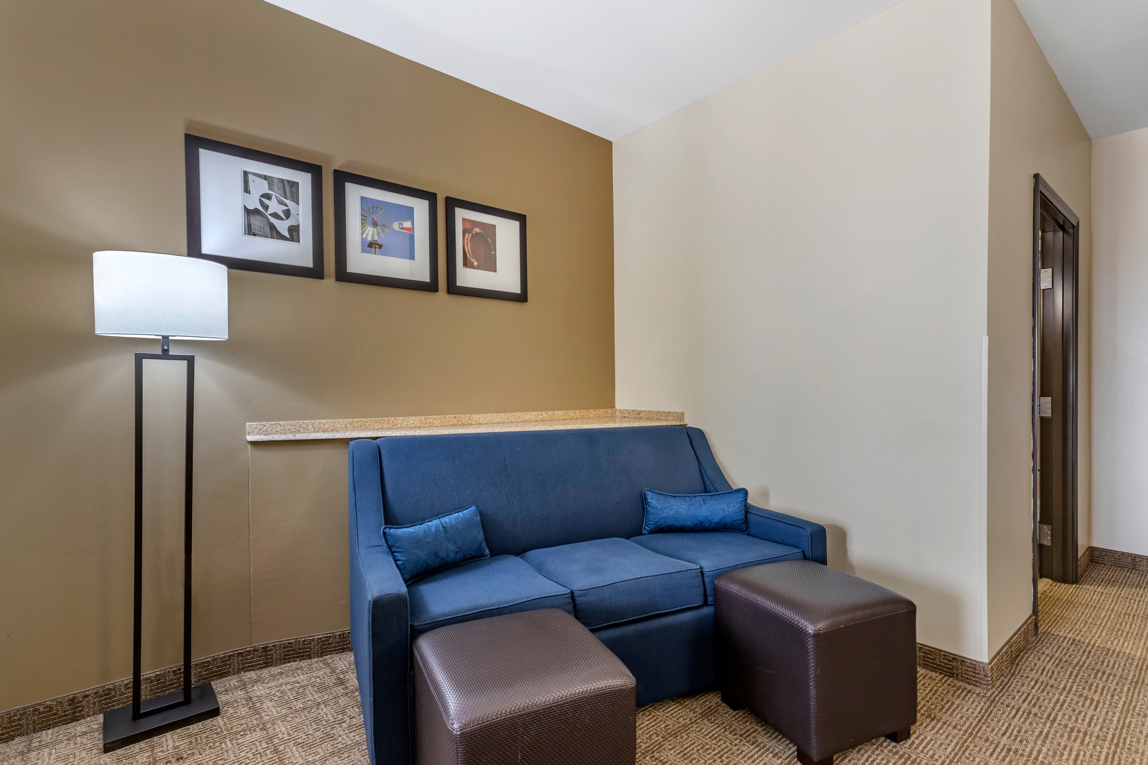 Comfort Suites Buda - Austin South — 18