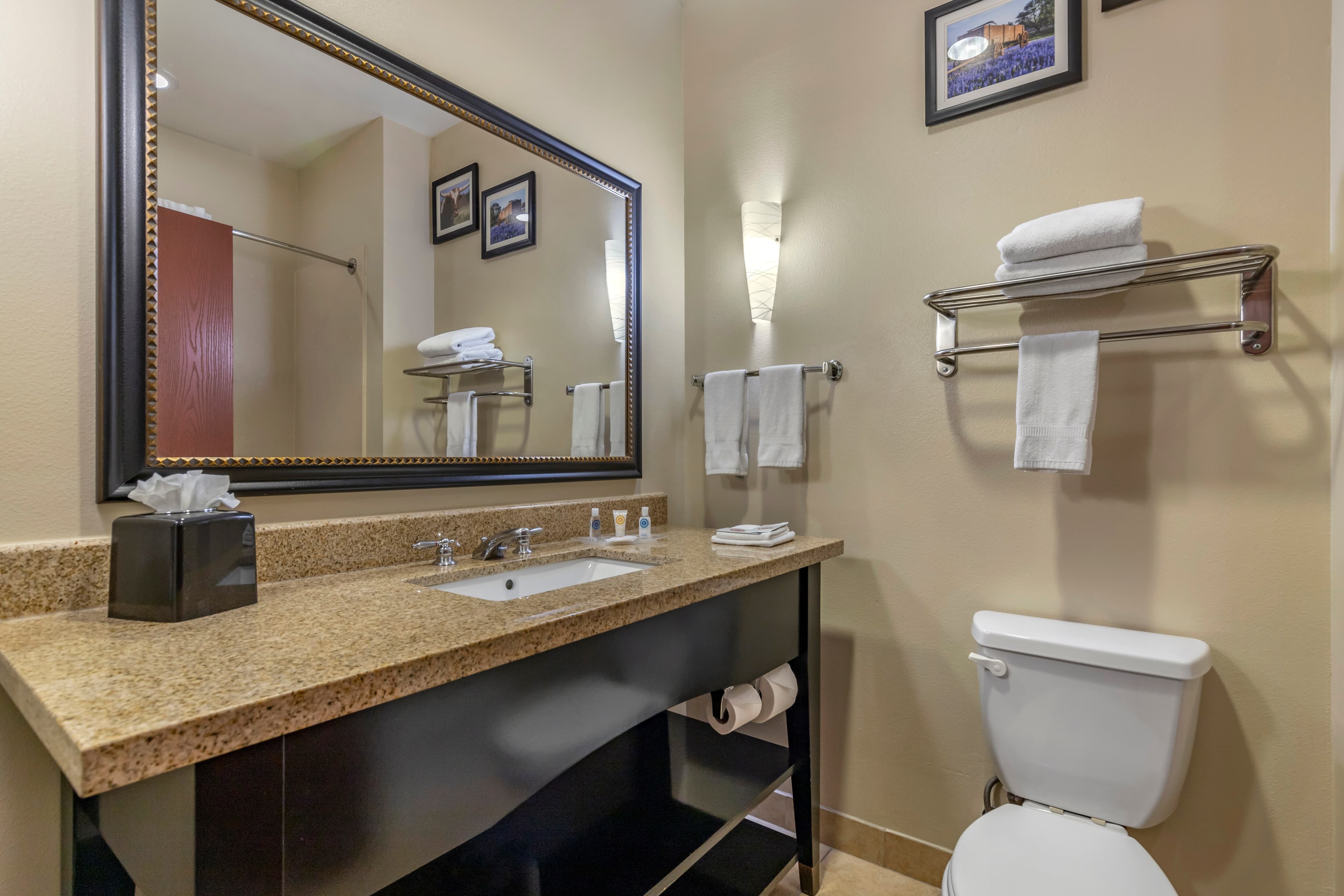 Comfort Suites Buda - Austin South — 20