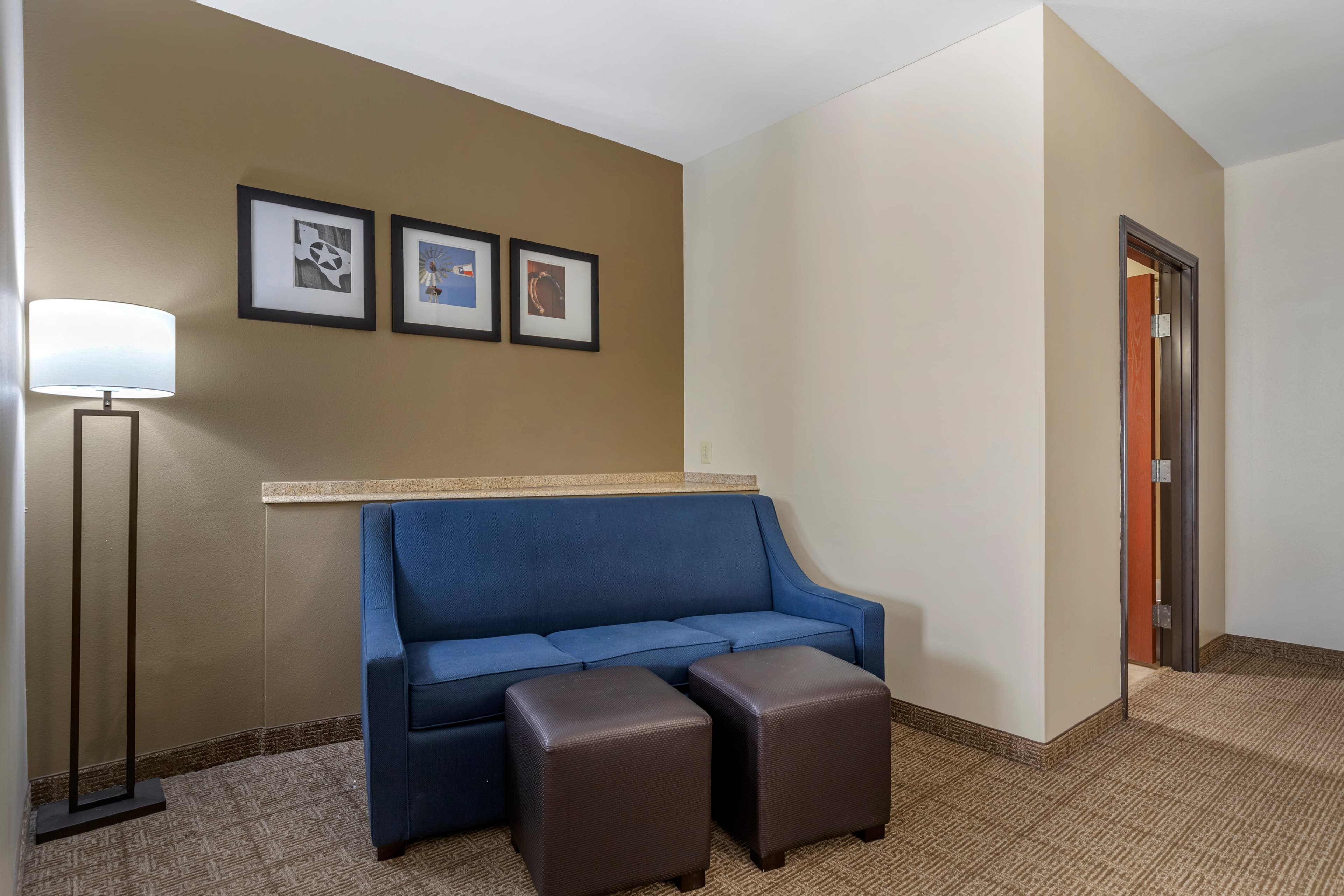Comfort Suites Buda - Austin South — 23