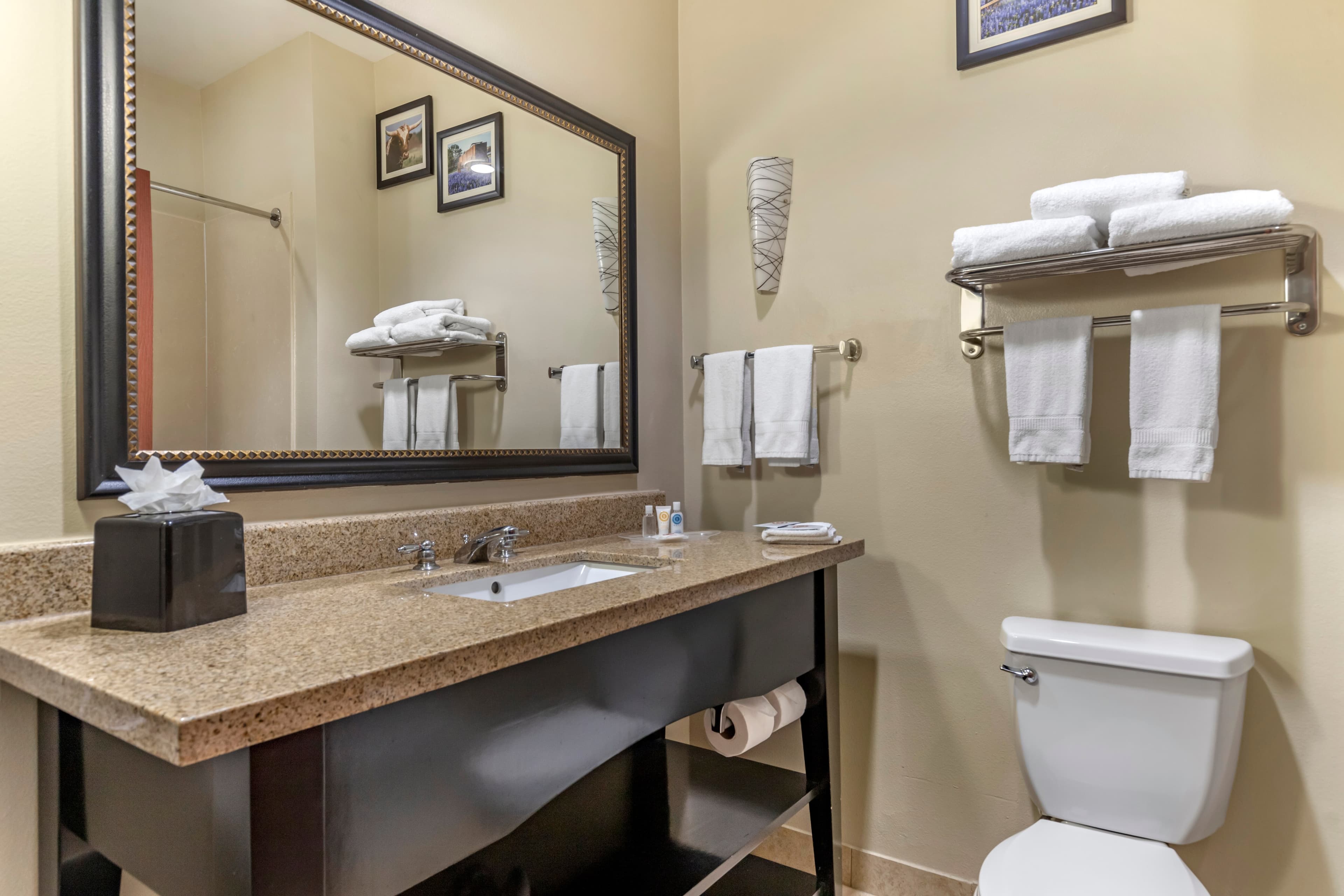 Comfort Suites Buda - Austin South — 24