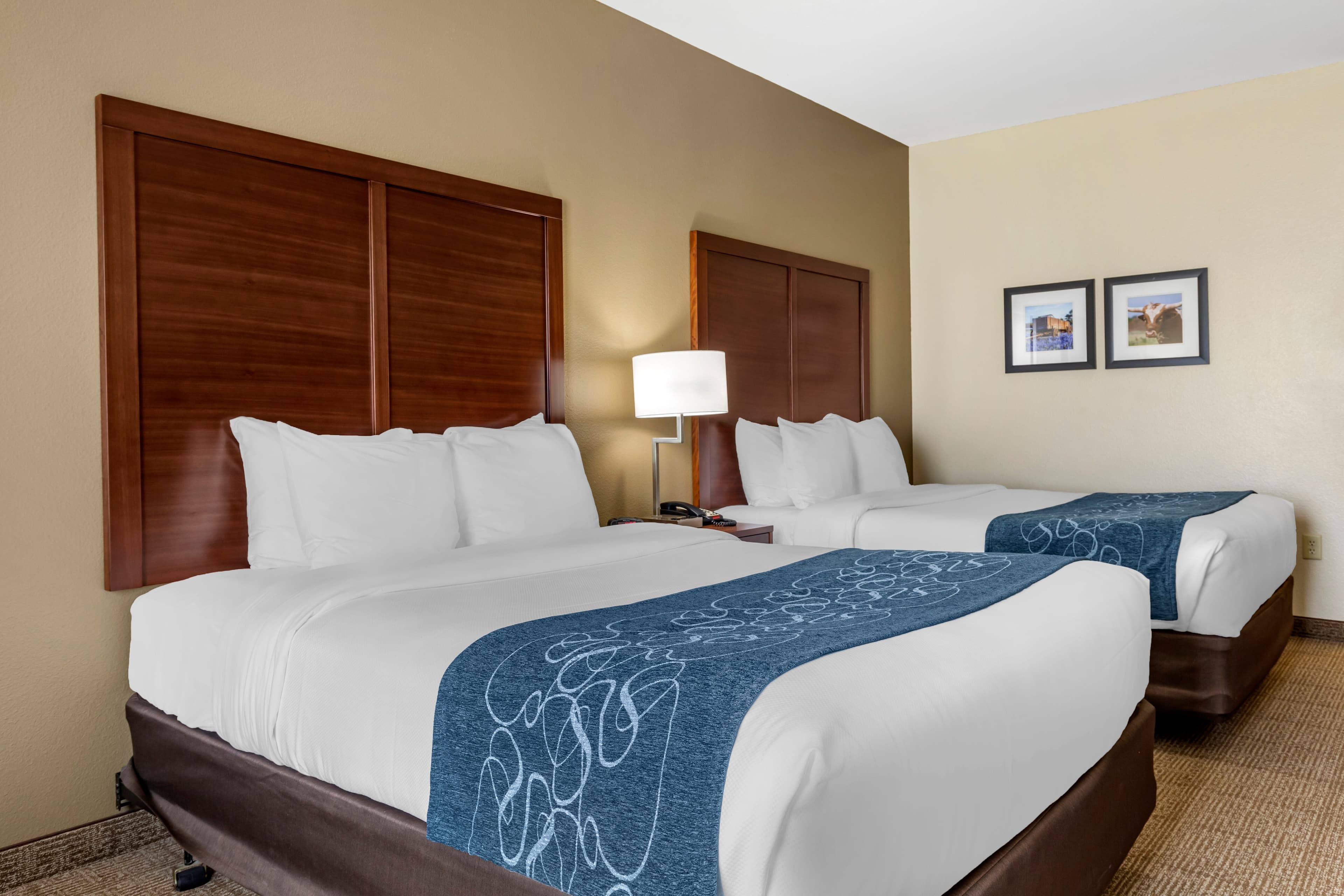 Comfort Inn & Suites Paris — 7