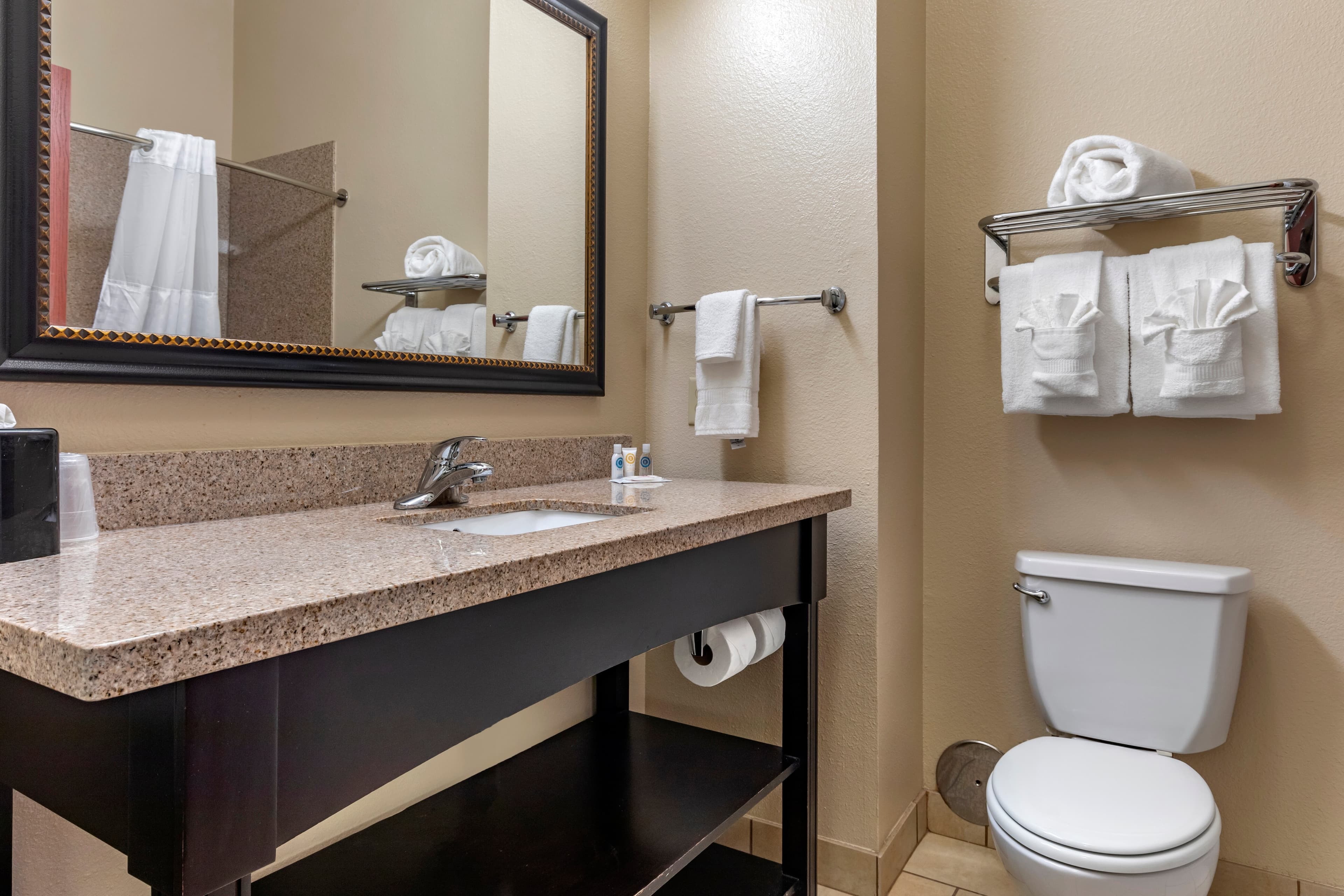 Comfort Inn & Suites Paris — 13