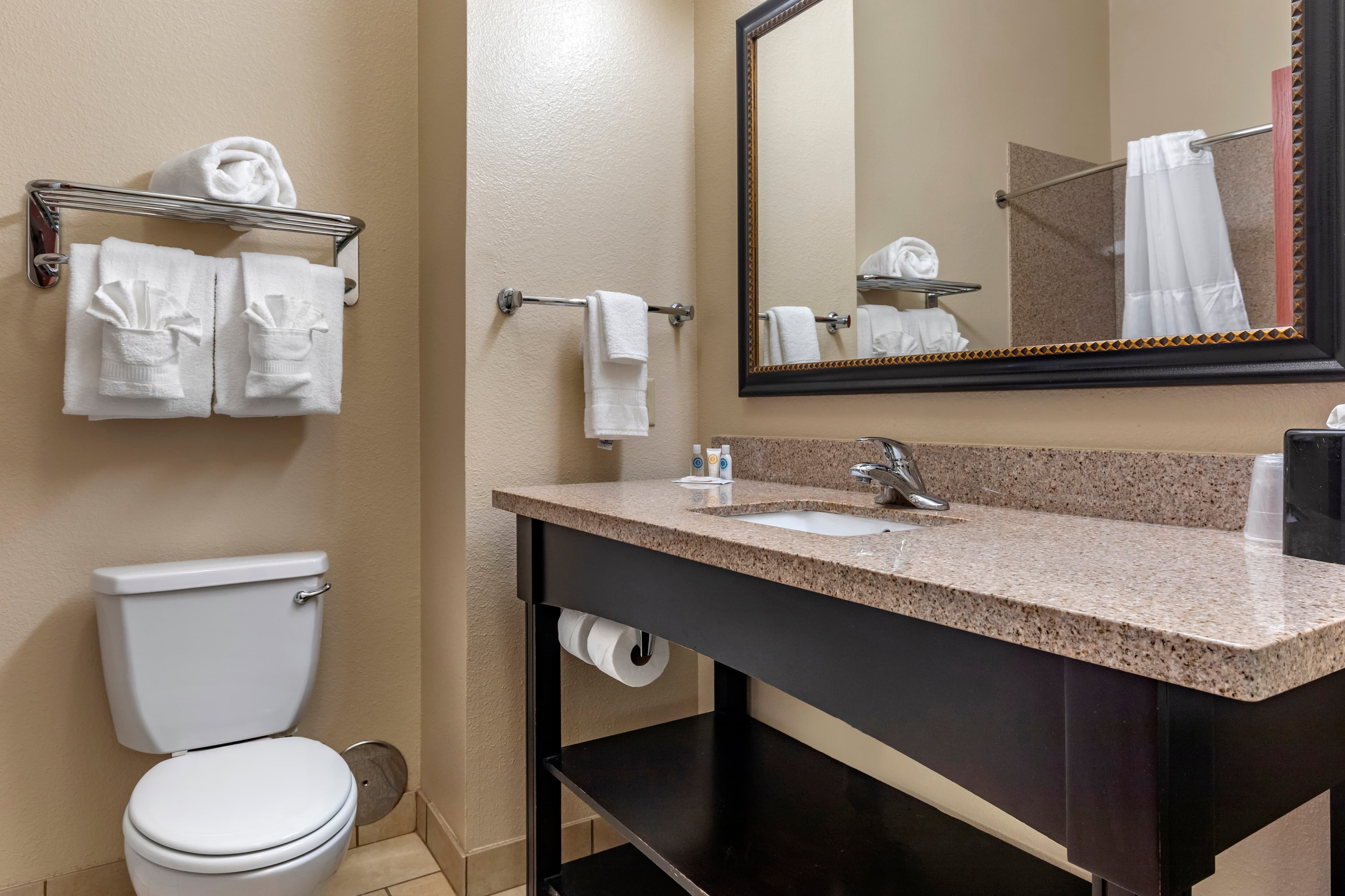 Comfort Inn & Suites Paris — 17