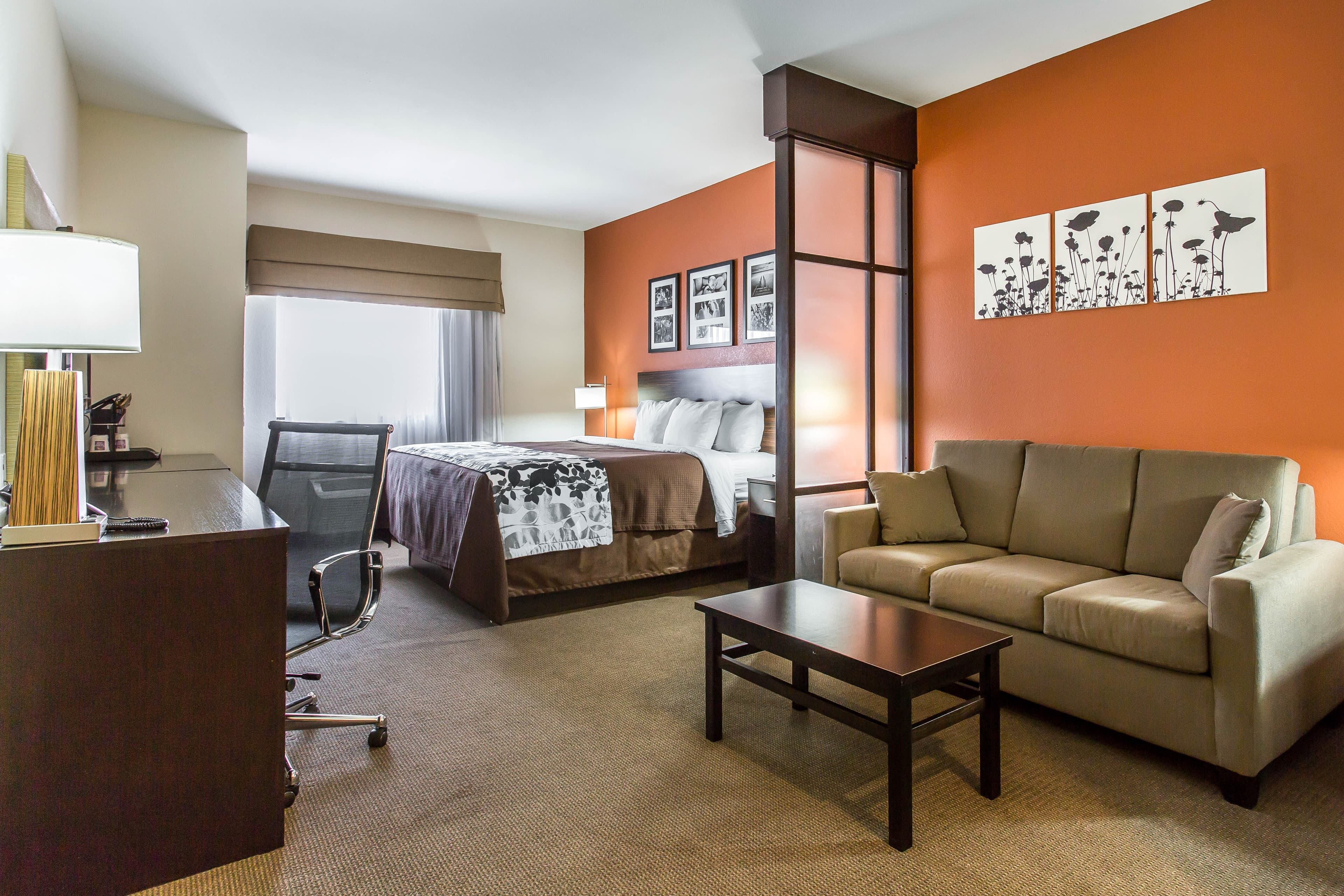 Sleep Inn & Suites Lubbock West — 13