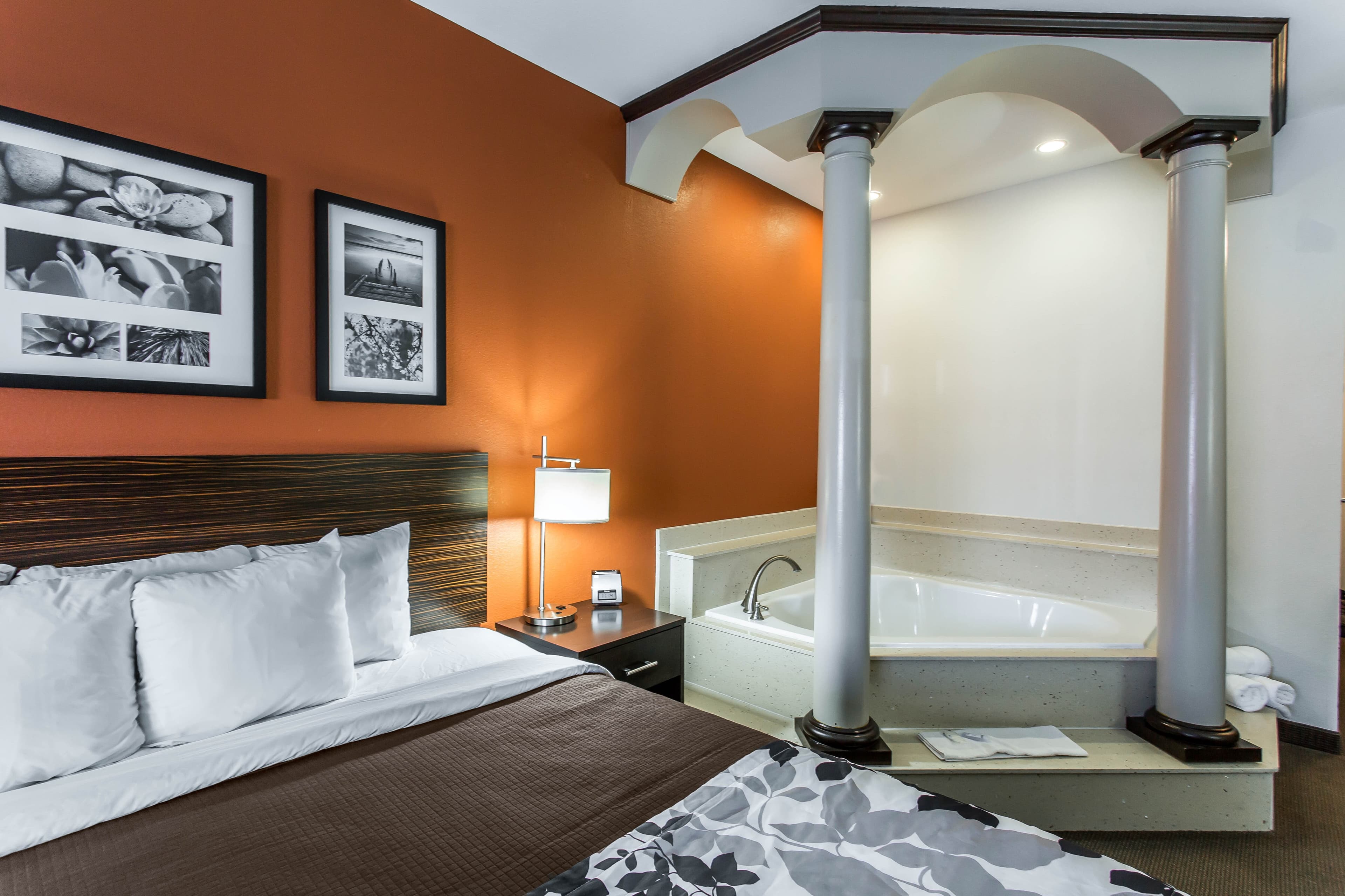 Sleep Inn & Suites Lubbock West — 4
