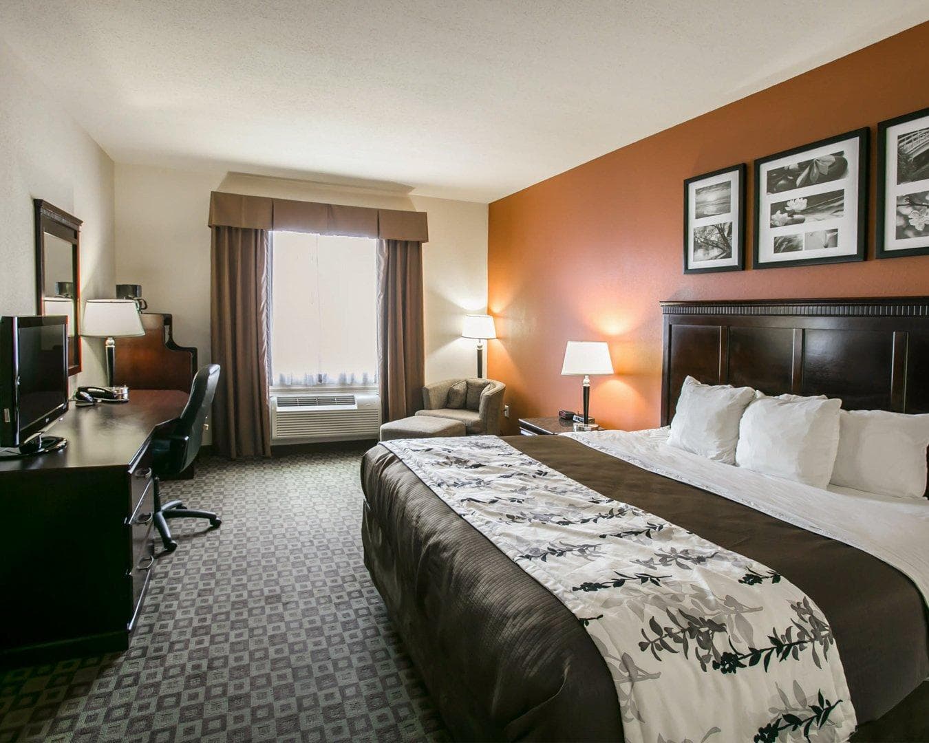 Sleep Inn & Suites Hwy 290/NW Freeway - Image 2