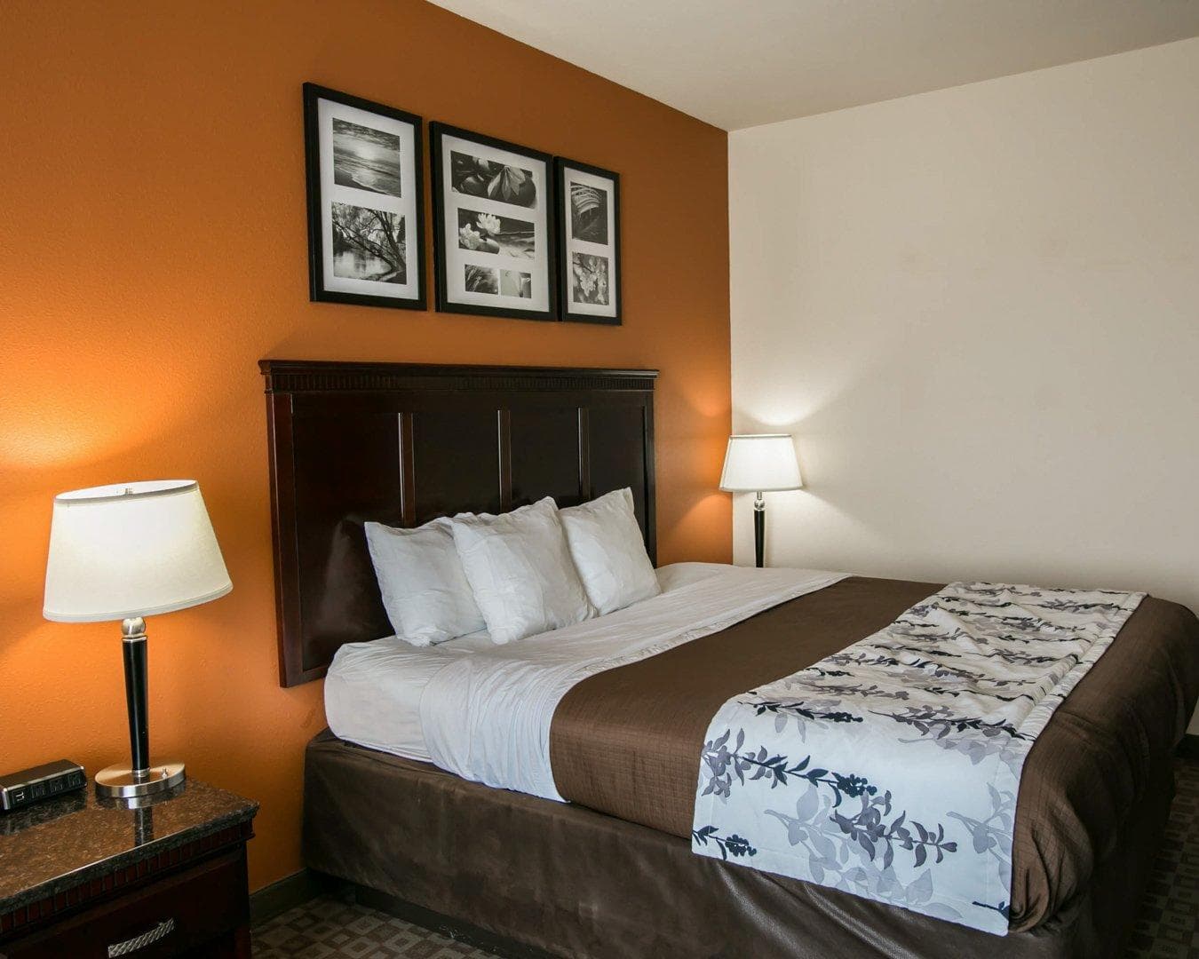Sleep Inn & Suites Hwy 290/NW Freeway - Image 3