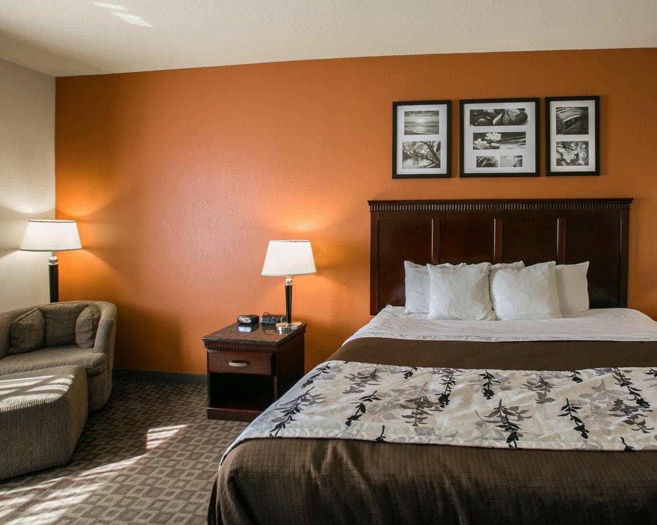Sleep Inn & Suites Hwy 290/NW Freeway - Image 4