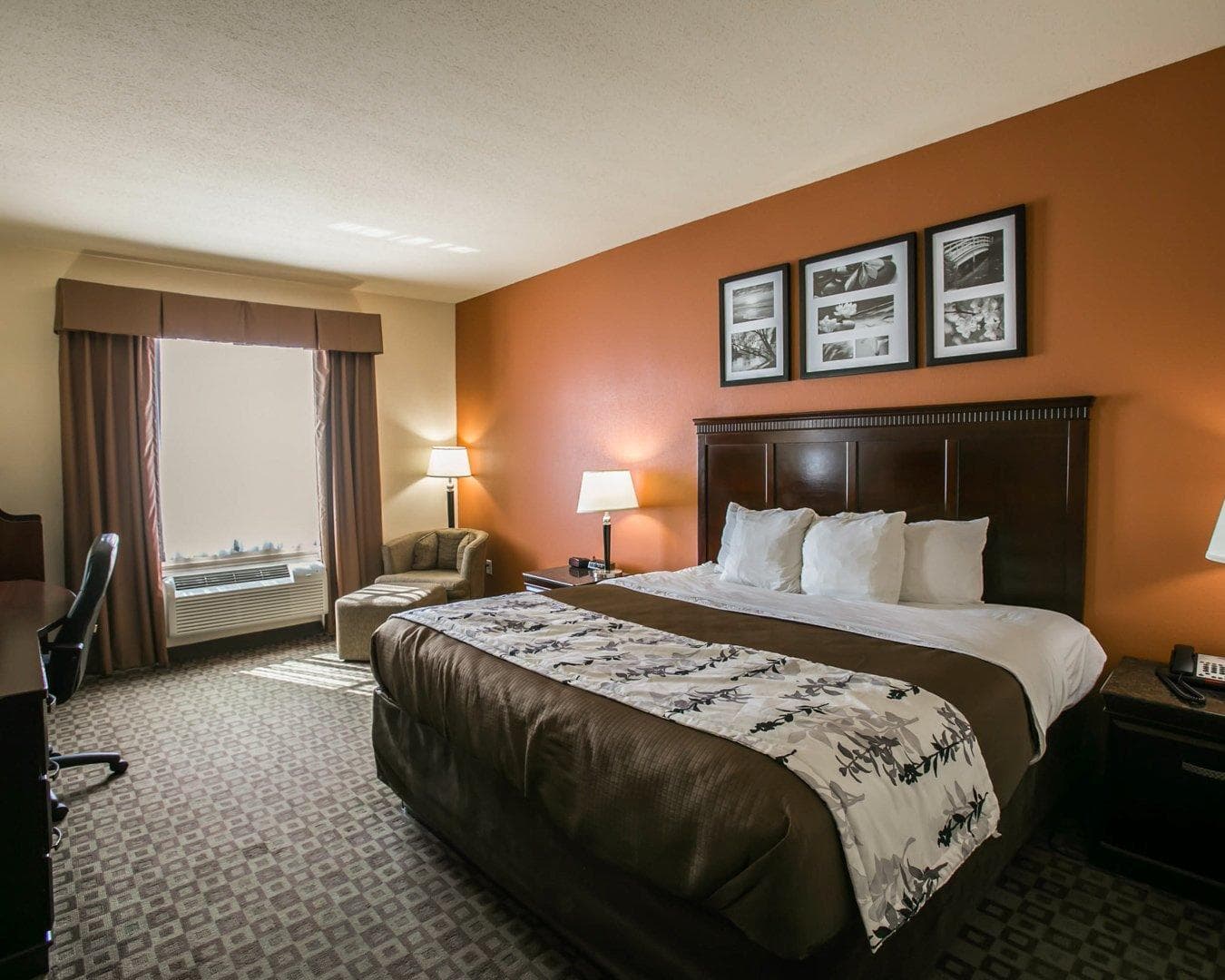 Sleep Inn & Suites Hwy 290/NW Freeway - Image 5
