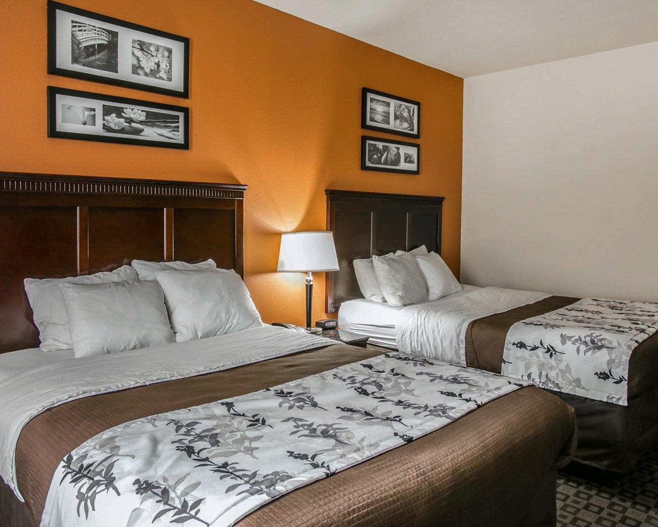 Sleep Inn & Suites Hwy 290/NW Freeway — 8