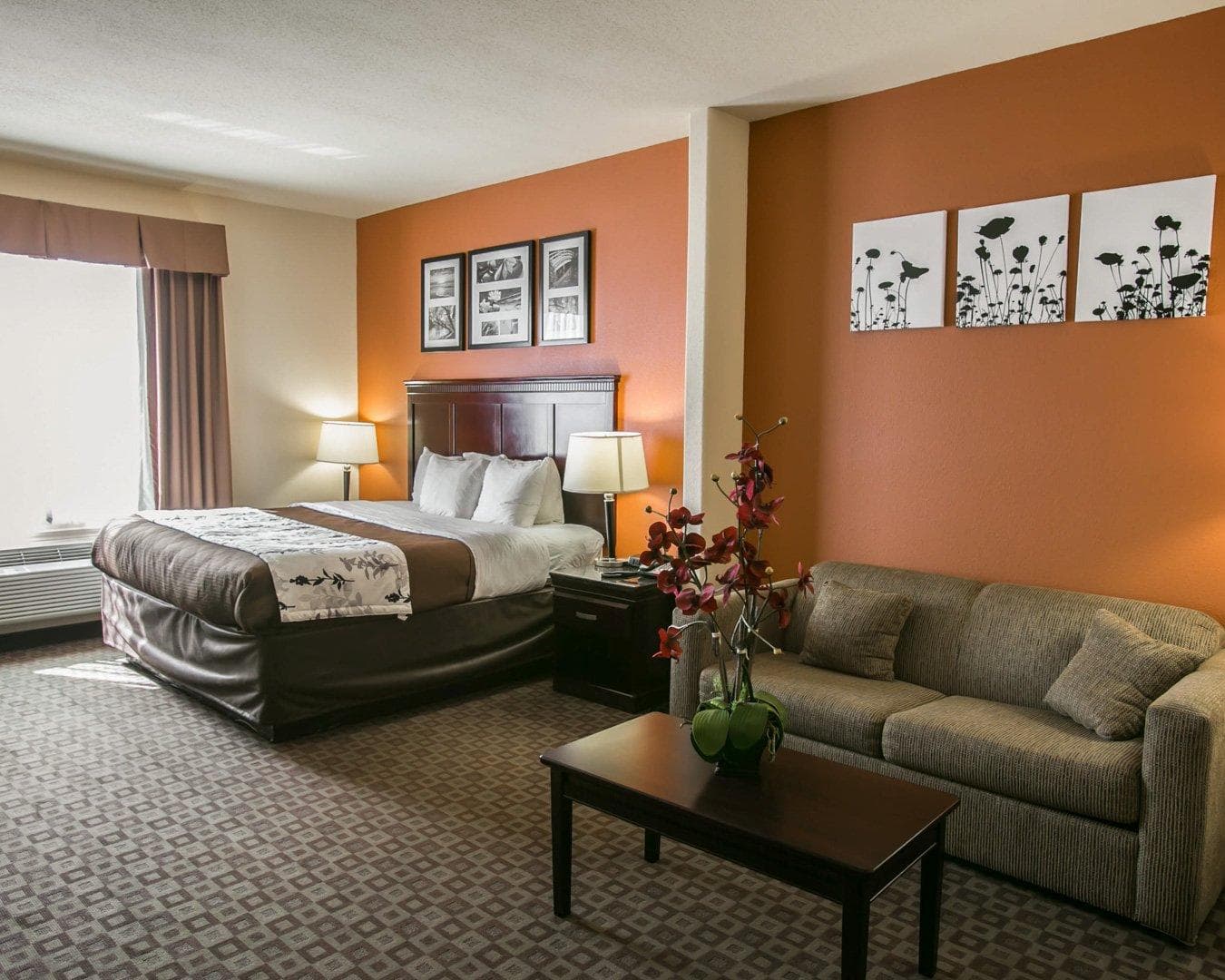 Sleep Inn & Suites Hwy 290/NW Freeway — 12