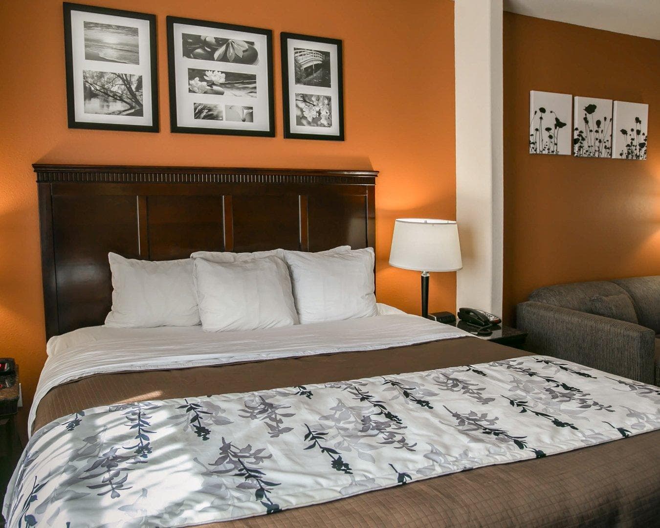 Sleep Inn & Suites Hwy 290/NW Freeway — 13