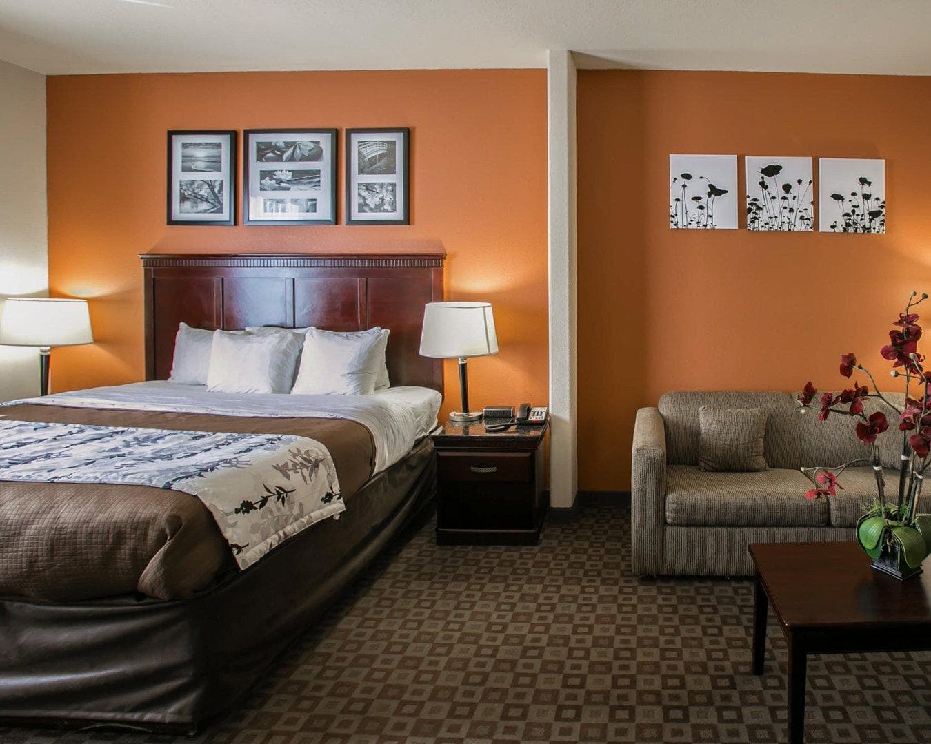 Sleep Inn & Suites Hwy 290/NW Freeway — 14