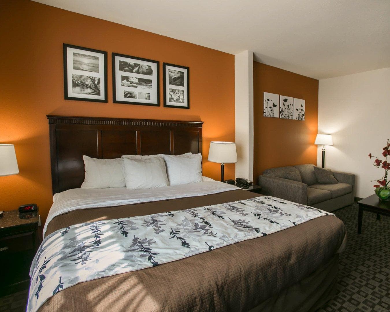 Sleep Inn & Suites Hwy 290/NW Freeway — 15