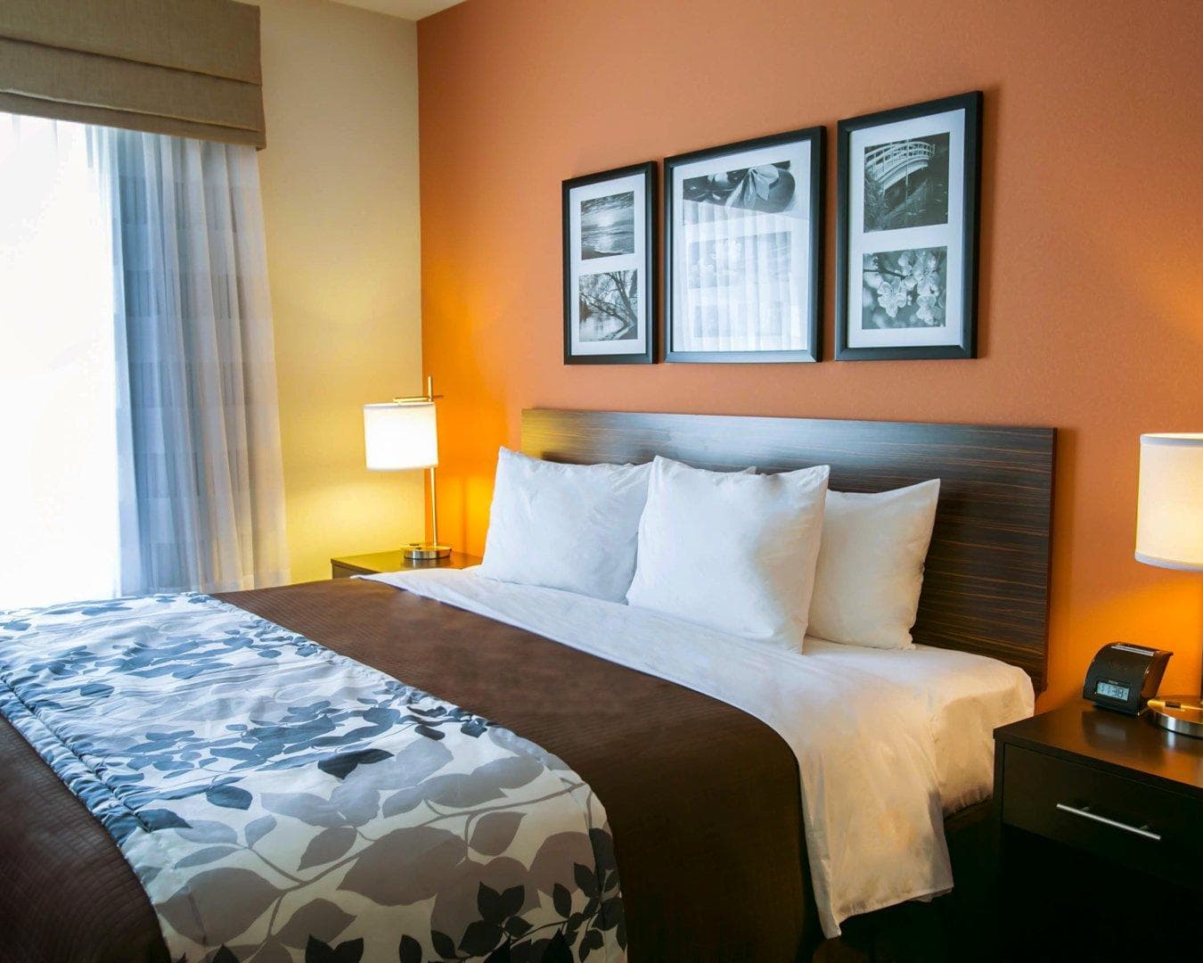 Sleep Inn & Suites Austin - Northeast - Image 2