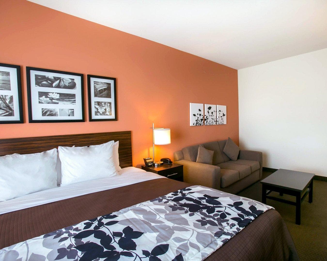 Sleep Inn & Suites Austin - Northeast — 19