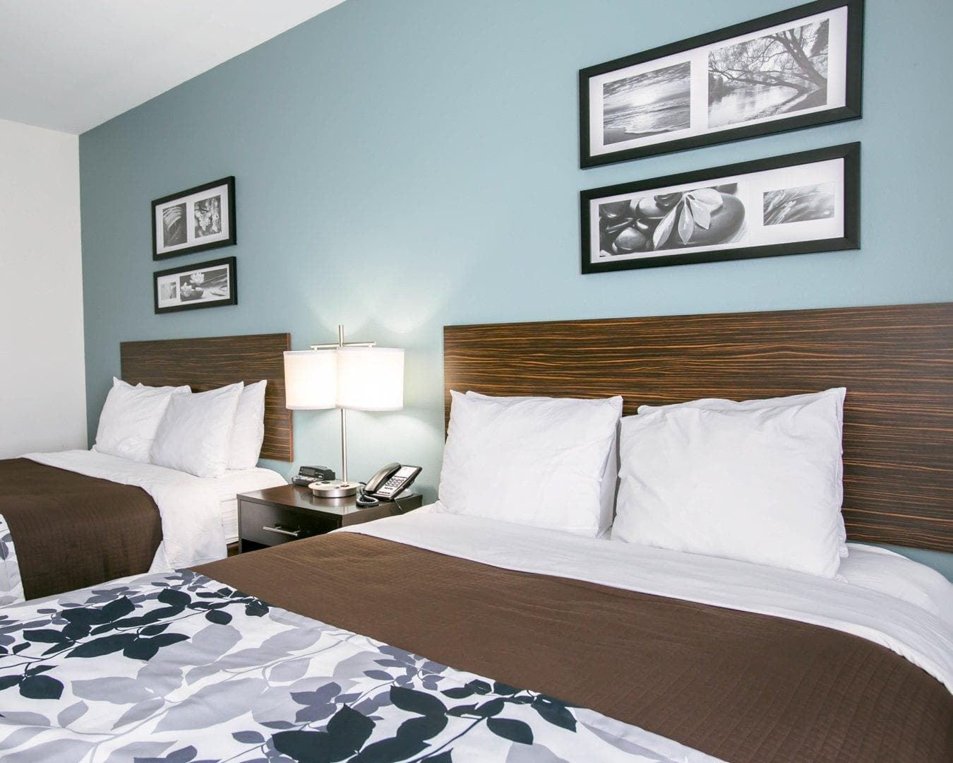 Sleep Inn & Suites Austin North-Pflugerville — 9