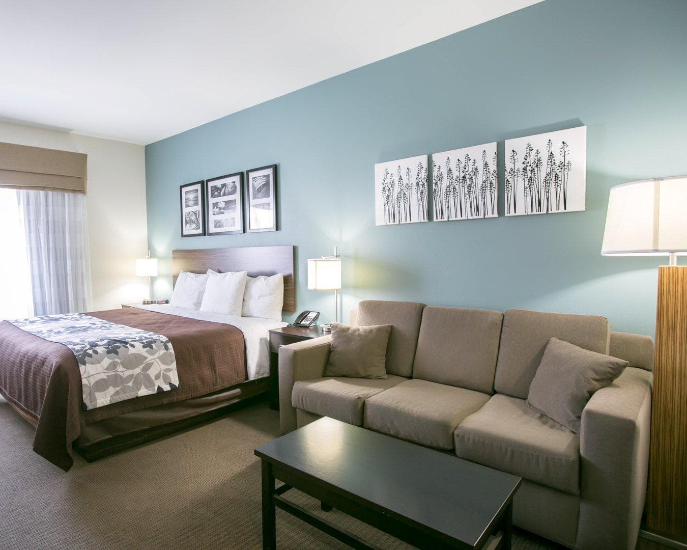 Sleep Inn & Suites Austin North-Pflugerville — 26